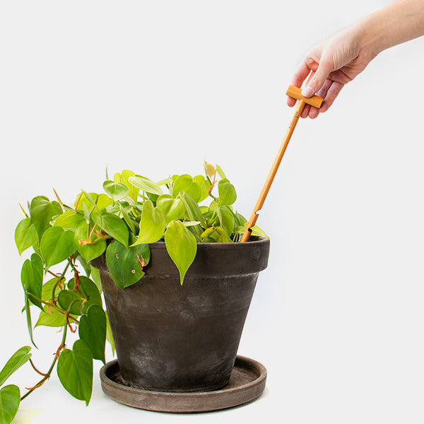 The Soil Checker | Wooden Soil Moisture Probe by Botanopia