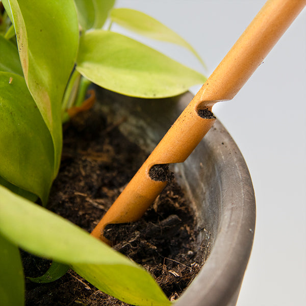The Soil Checker | Wooden Soil Moisture Probe by Botanopia