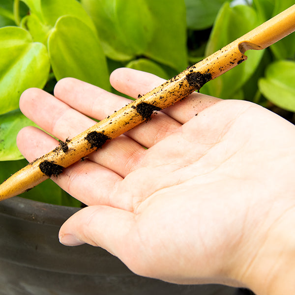 The Soil Checker | Wooden Soil Moisture Probe by Botanopia