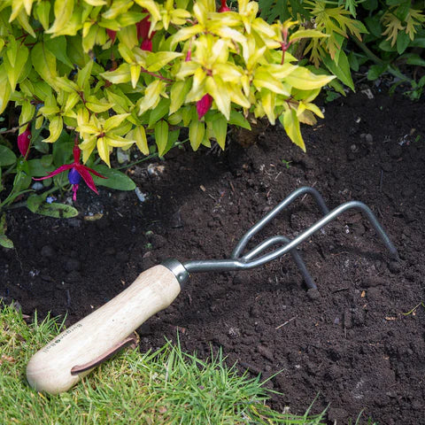 Claw Cultivator | RHS Endorsed