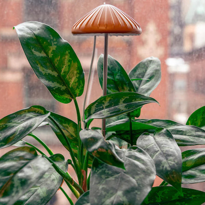 Grow light amp with mushroom design on a plant against a blurred background