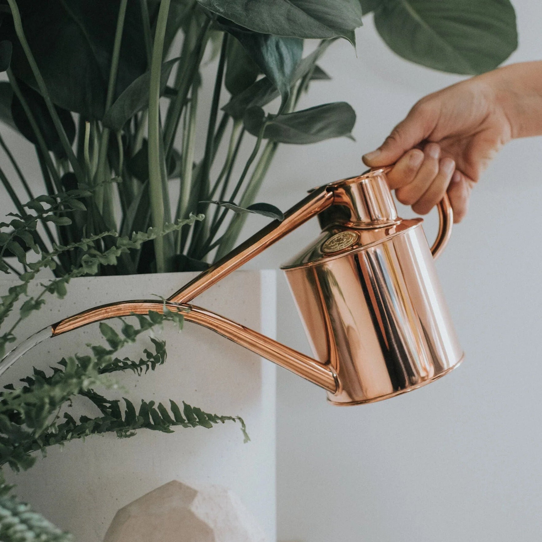 Person watering a plant with a Haws copper watering can