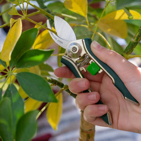 Houseplant Pruners – Precision Cutting Tool