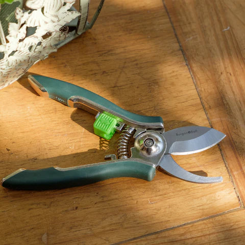 Houseplant Pruners – Precision Cutting Tool