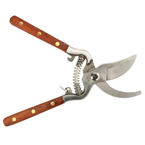 A pair of pruning shears with brown wooden handles, brass rivets, and stainless steel blades and spring, isolated on a white background.