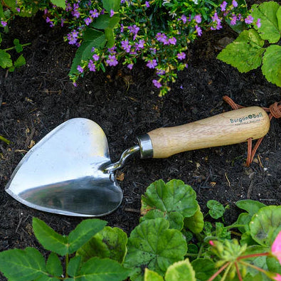 Garden trowel with wooden handle on garden soil and plants