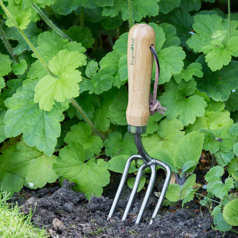 Round-Tined Fork | RHS Endorsed