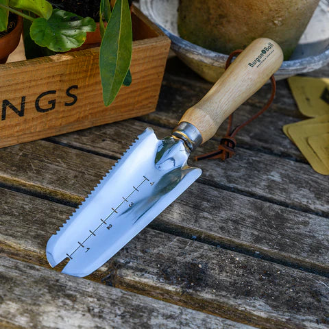 RHS Stainless Weeding Trowel