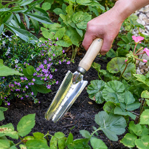 RHS Stainless Weeding Trowel