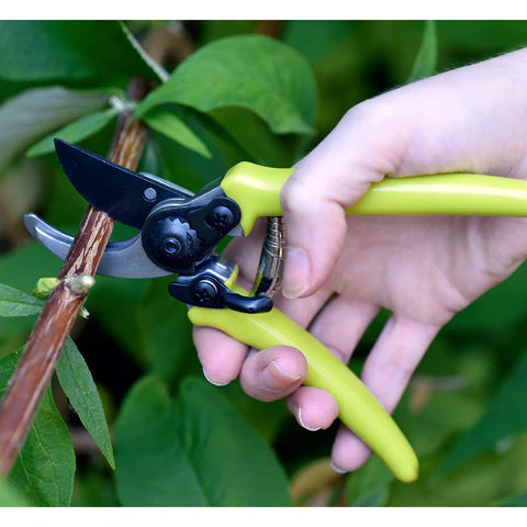 Micro Secateur by Burgon & Ball