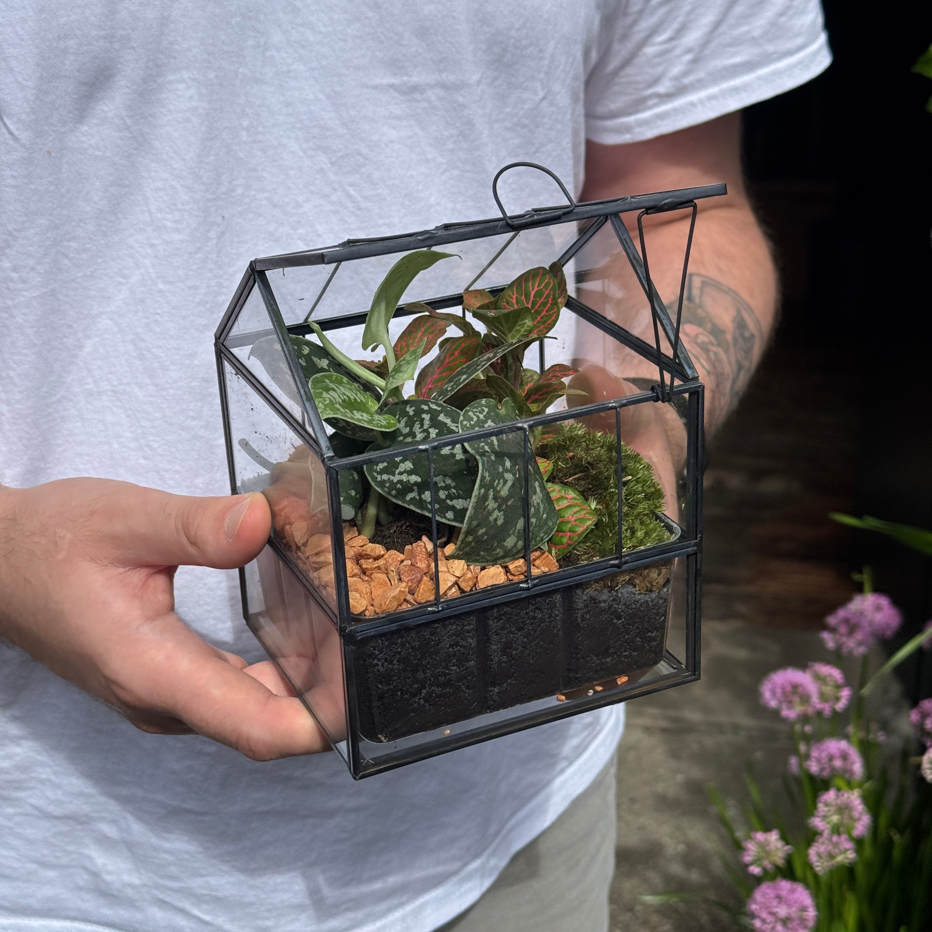 Glasshouse Terrarium