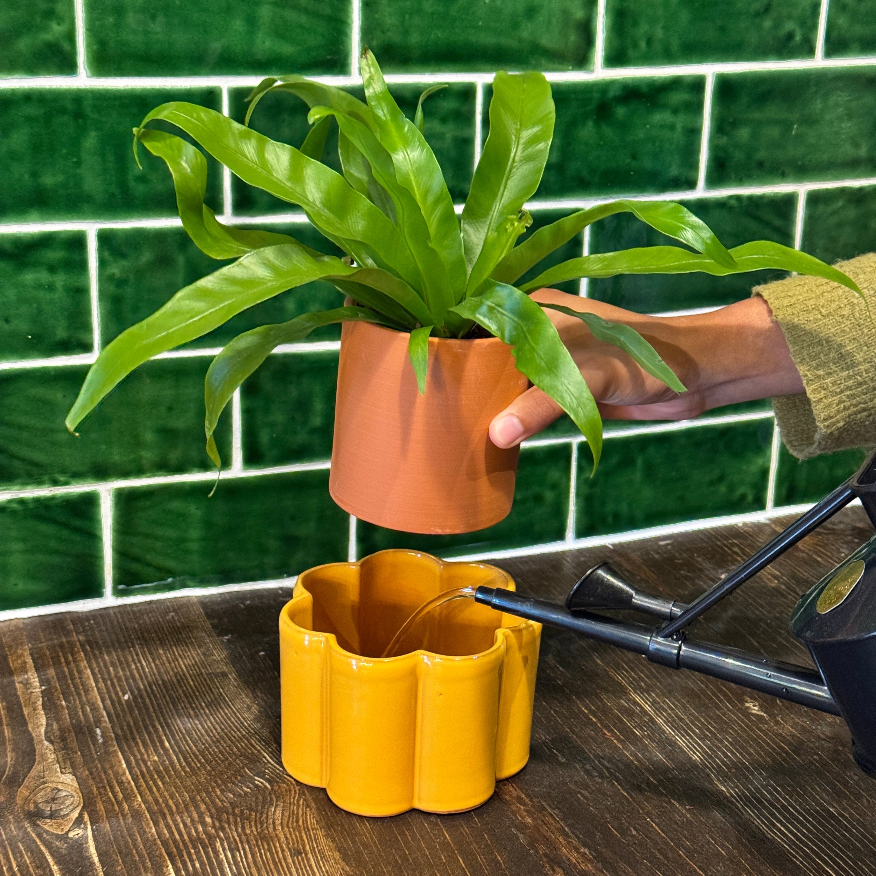 Pepin Paulita Self-Watering Pot