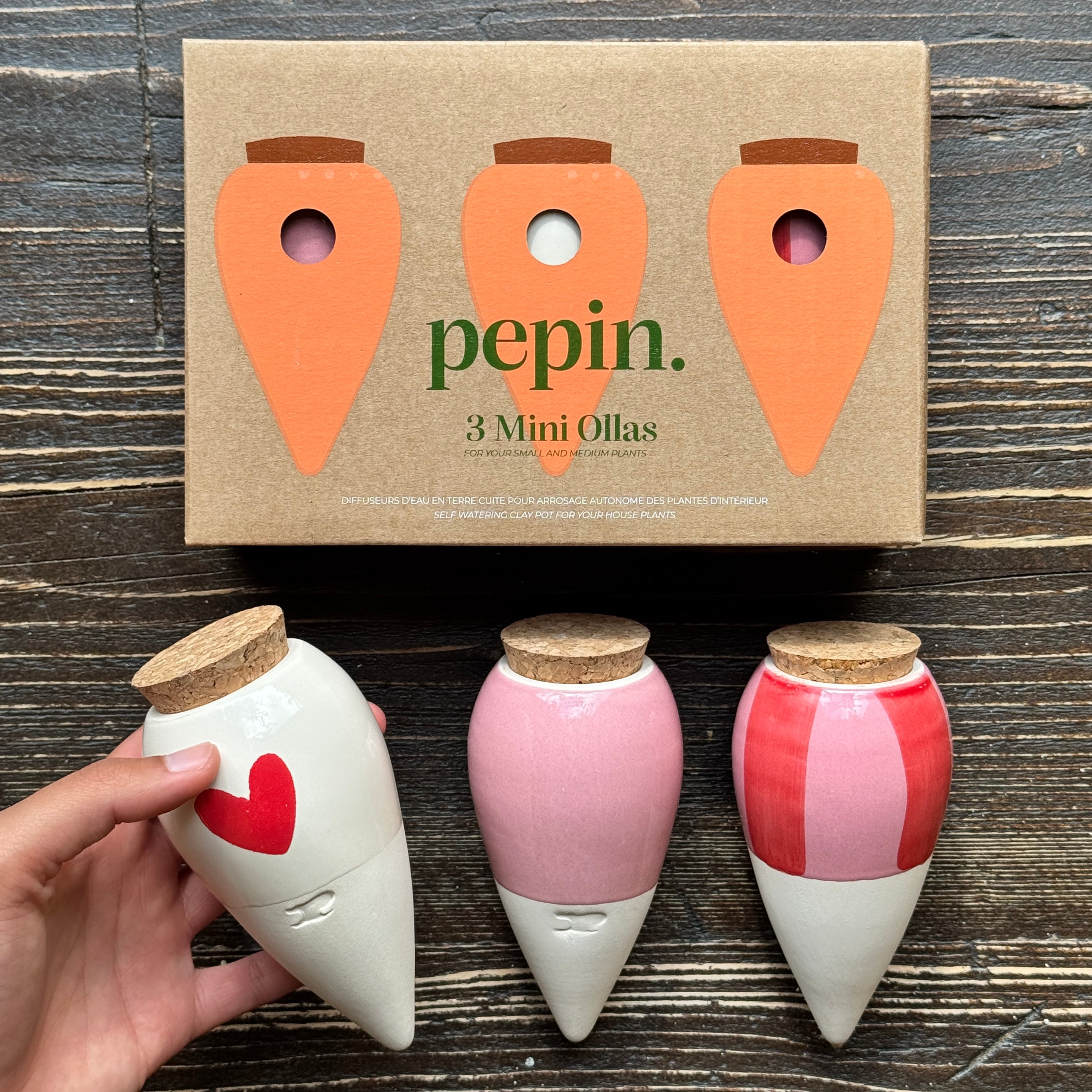 Pepin Trio Mini Ollas – Lovers Plant Gift Set