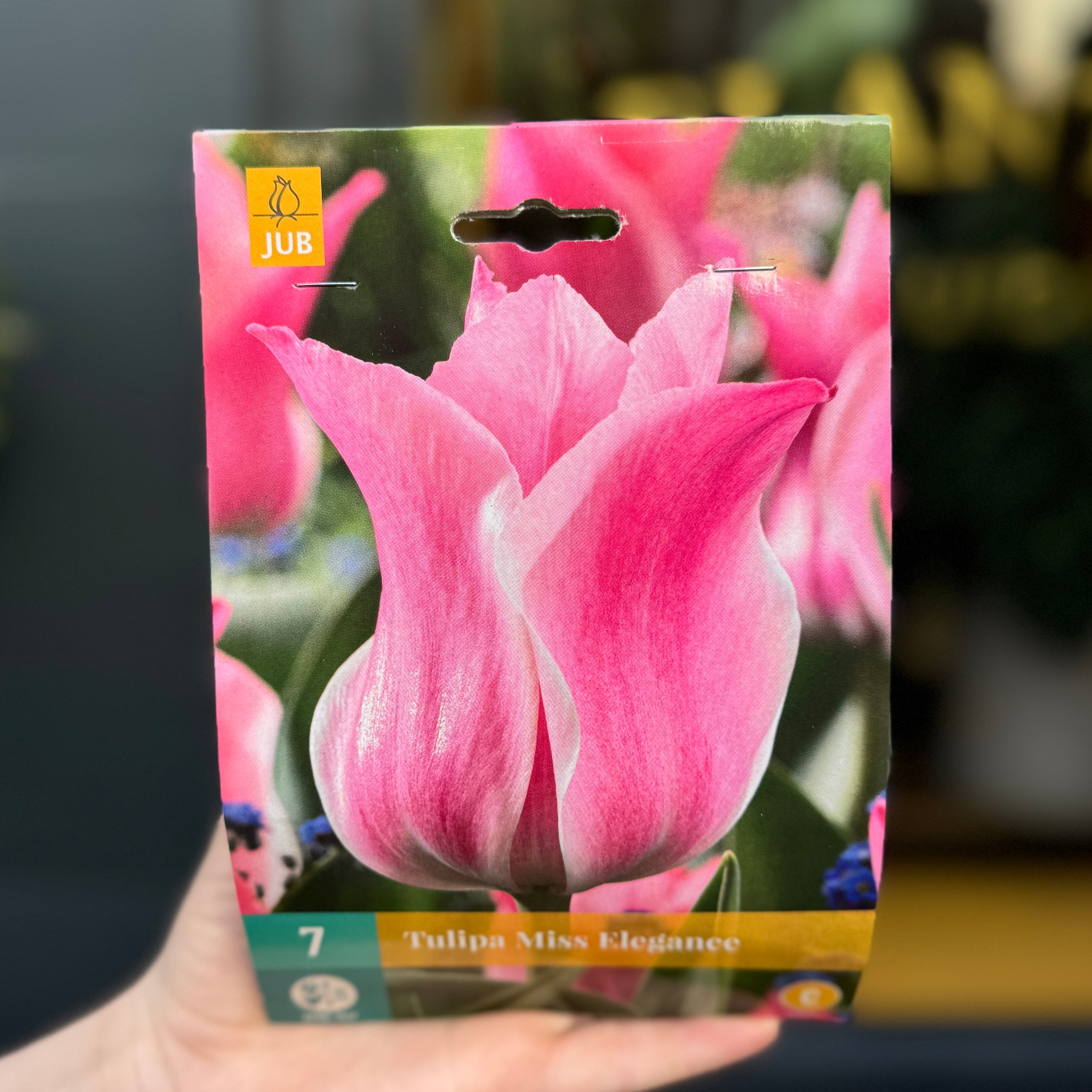 Tulip Bulbs for Autumn Planting