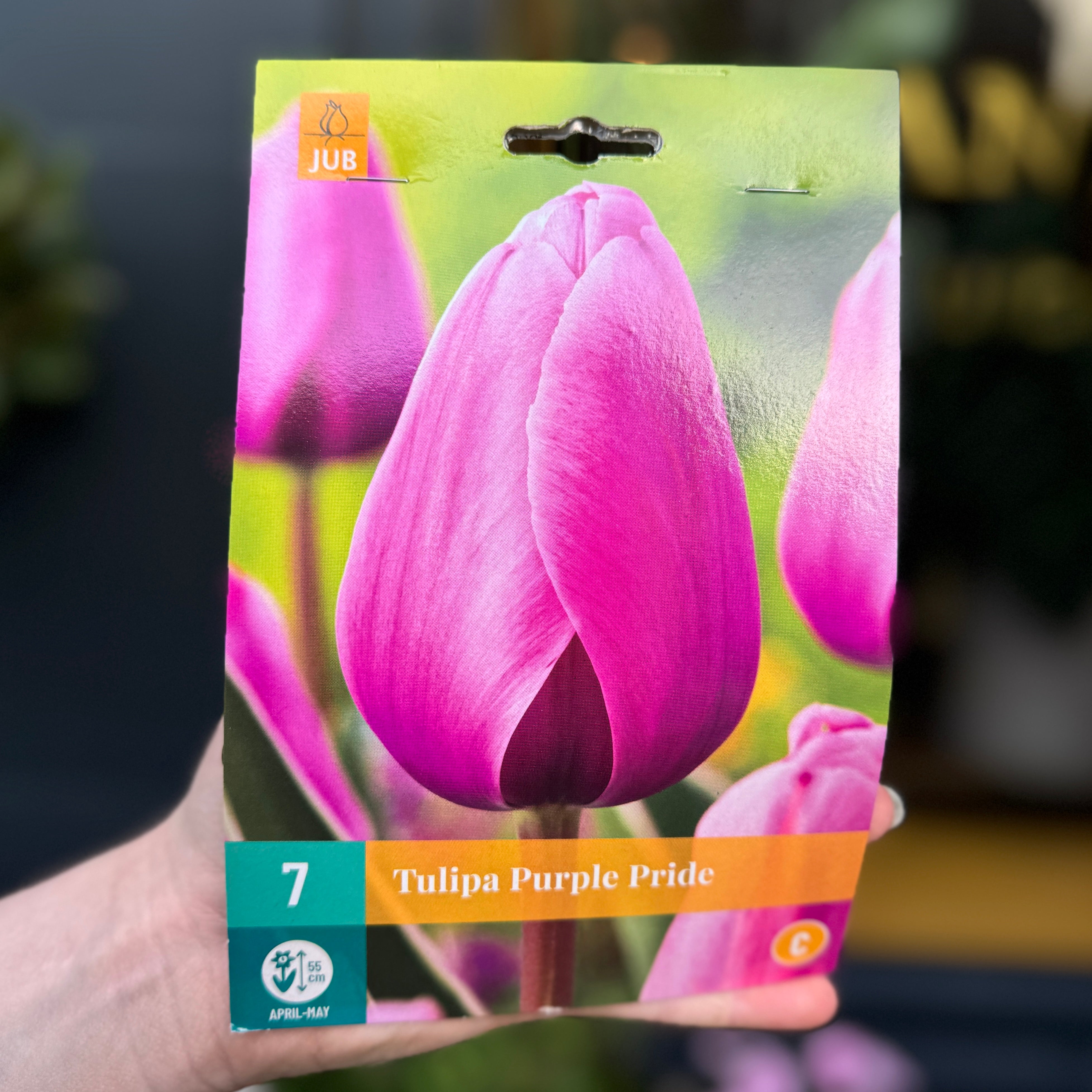 Tulip Bulbs for Autumn Planting