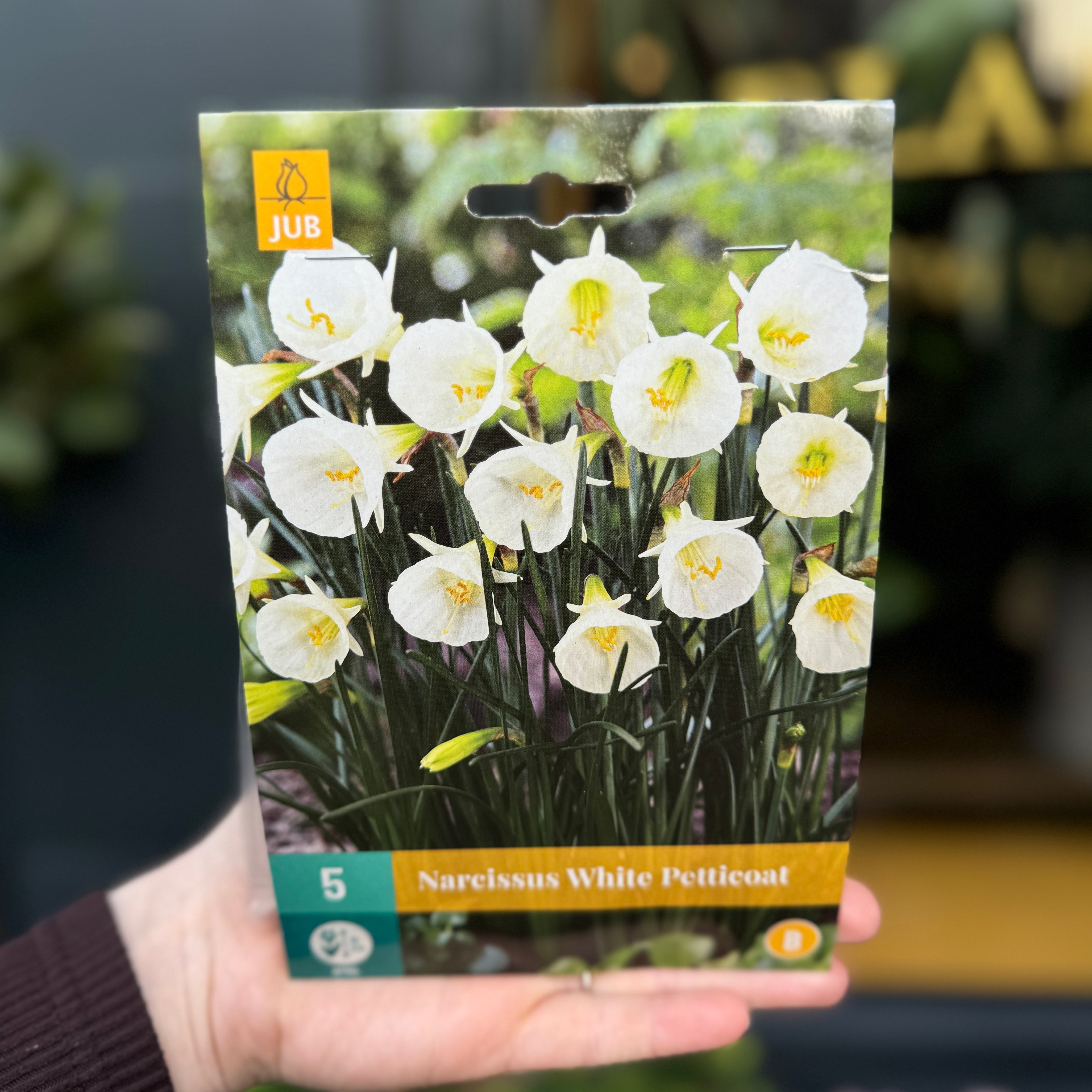 Narcissus Bulbs for Autumn Planting