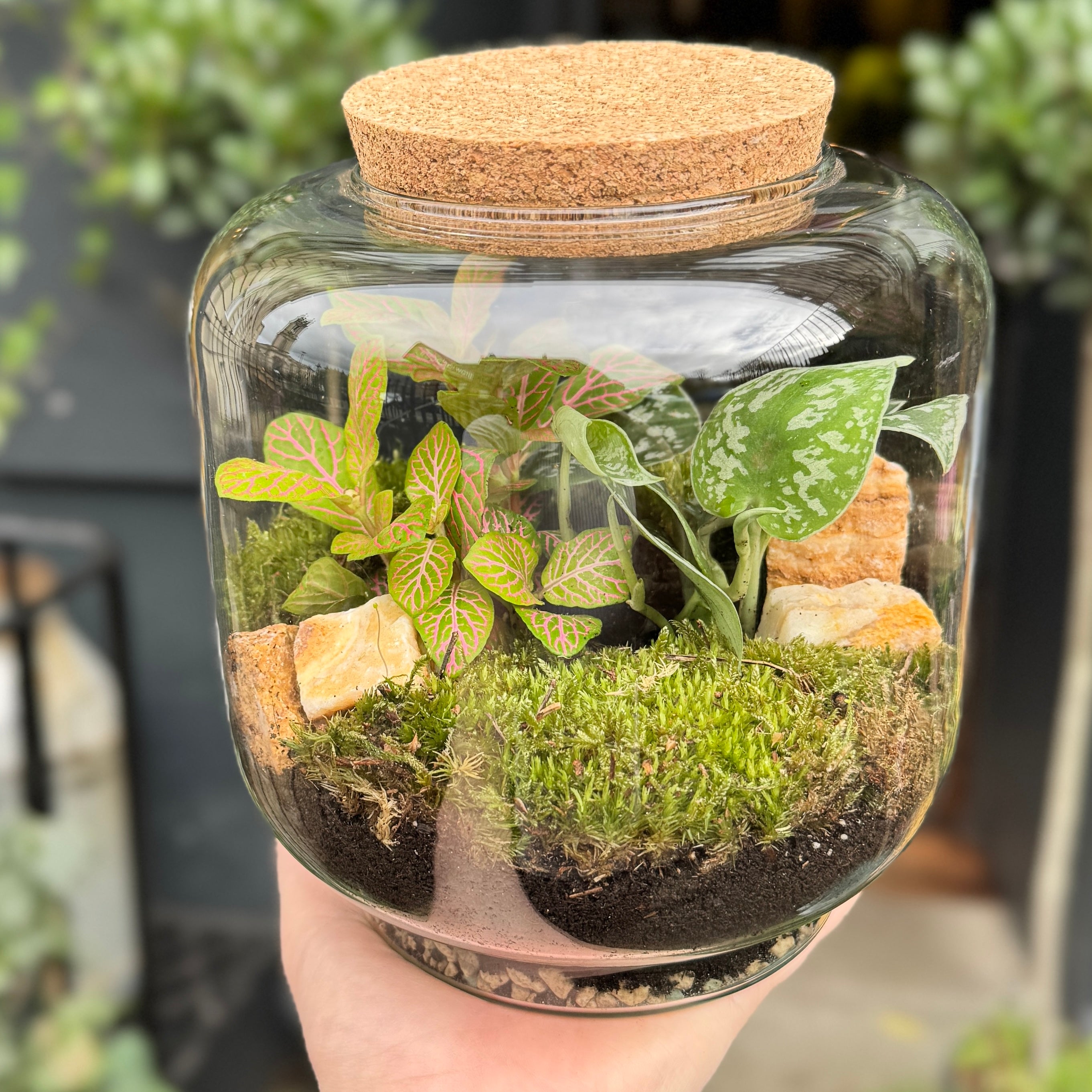 Capsule Terrarium