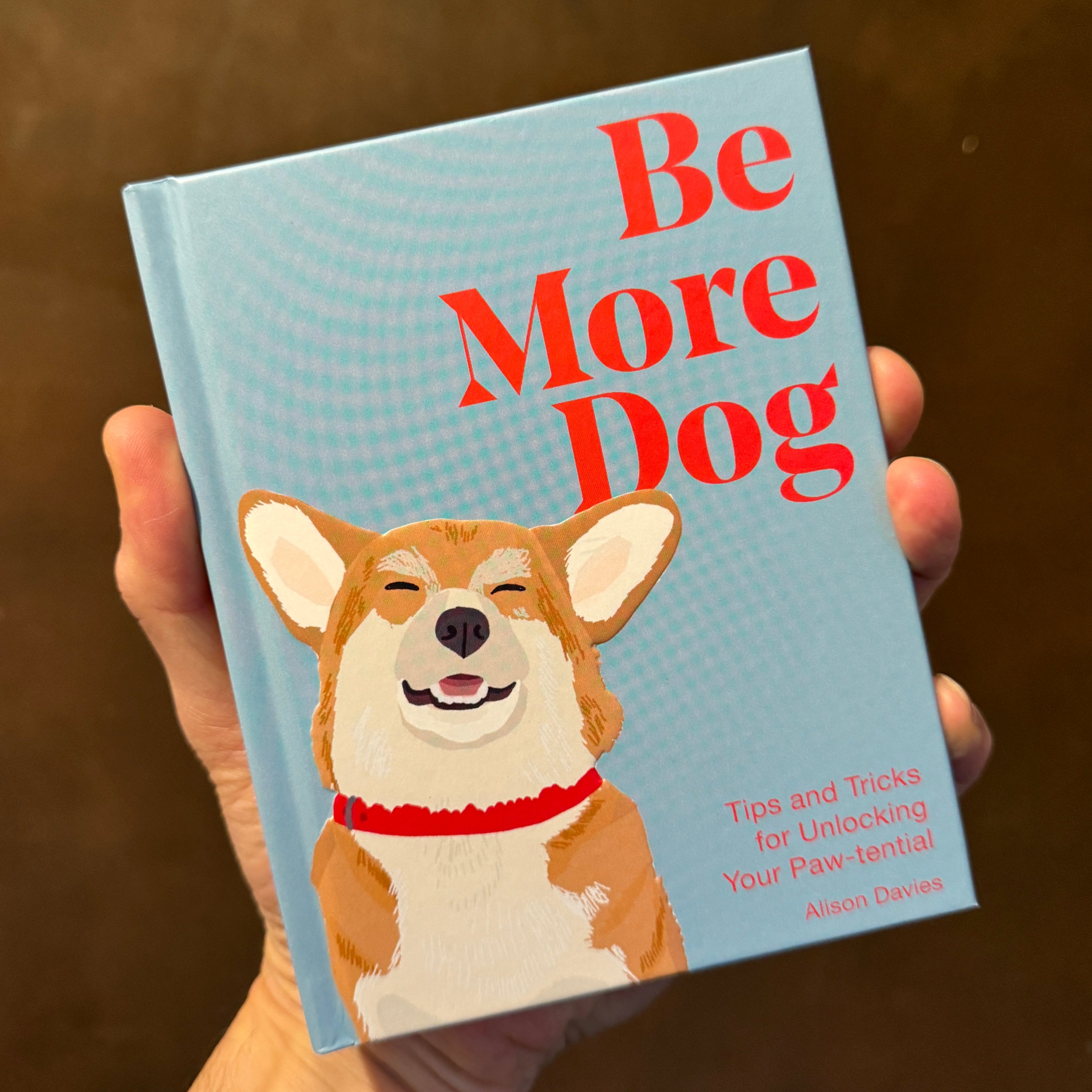 Be More Dog