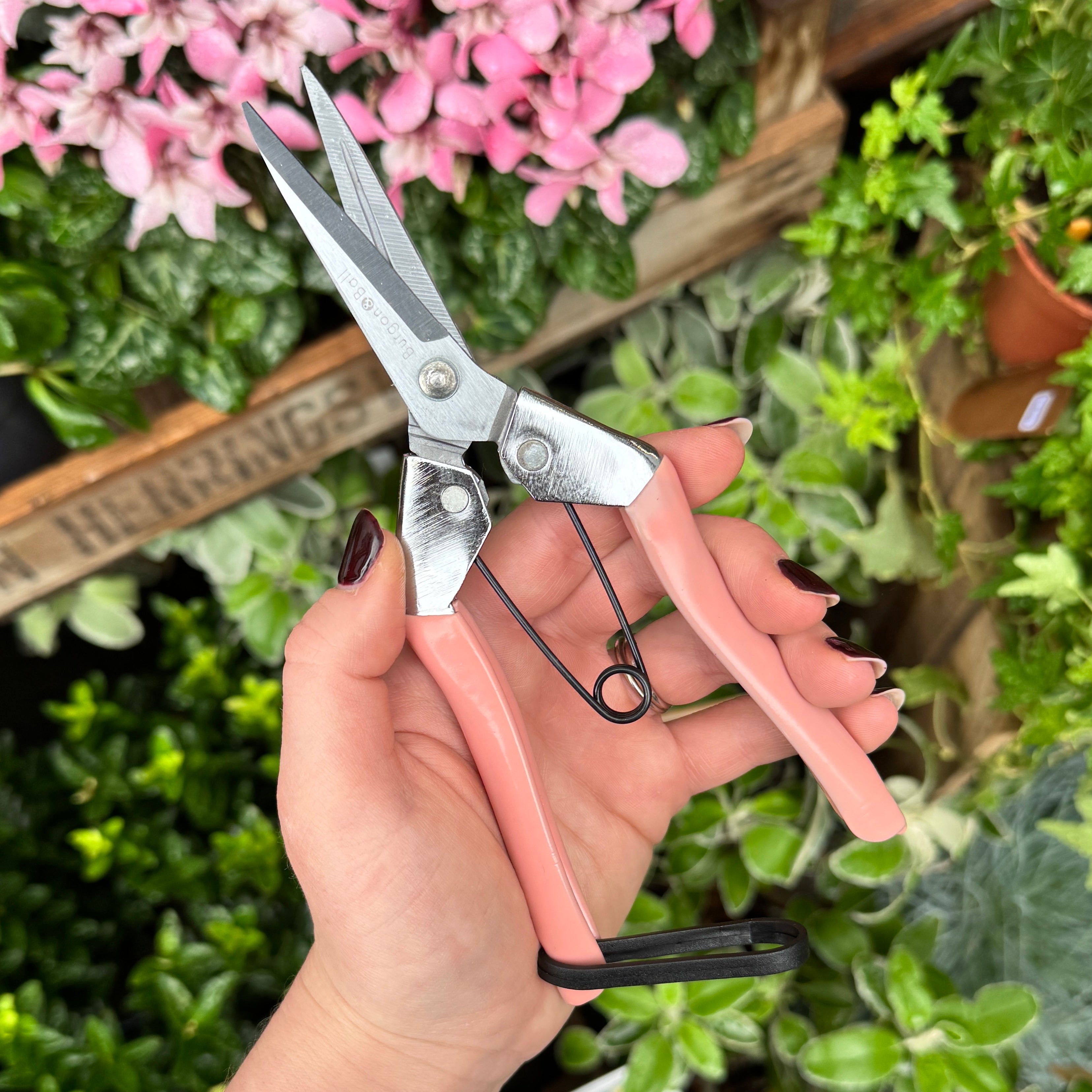 Blush Flower Snips by Burgon & Ball