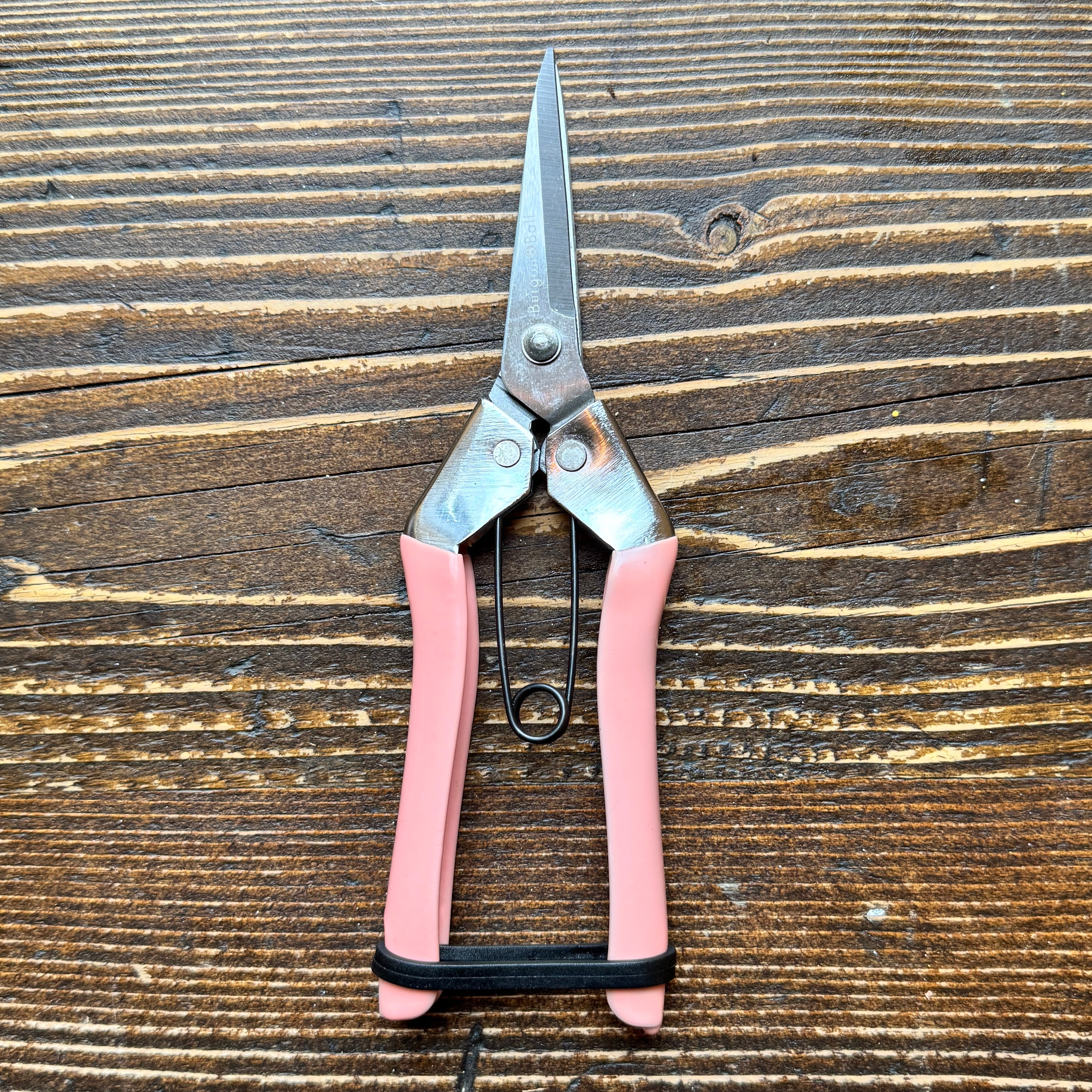 Blush Flower Snips by Burgon & Ball