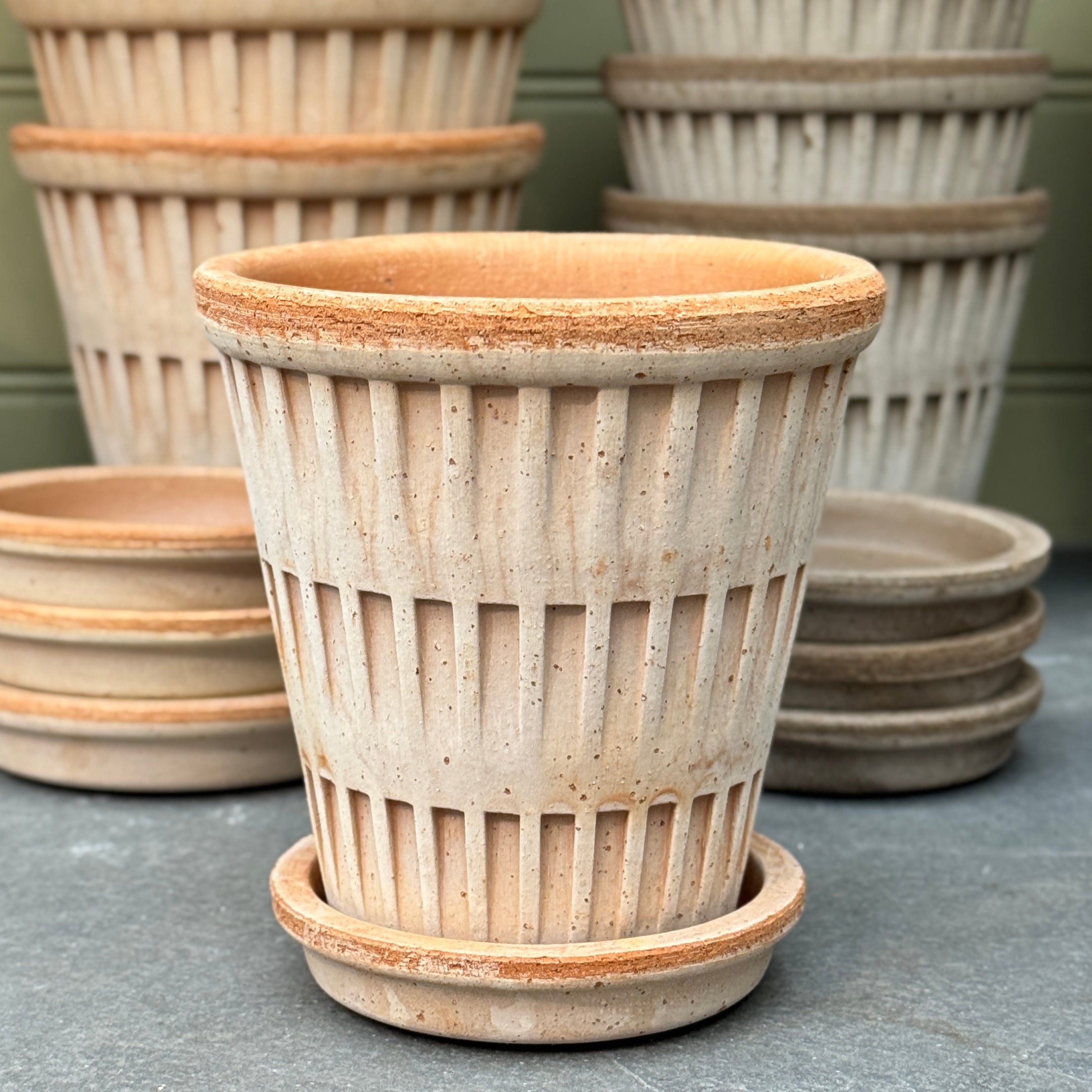 Bergs Potter Pantheon Pot & Saucer Set – Grey & Rosa