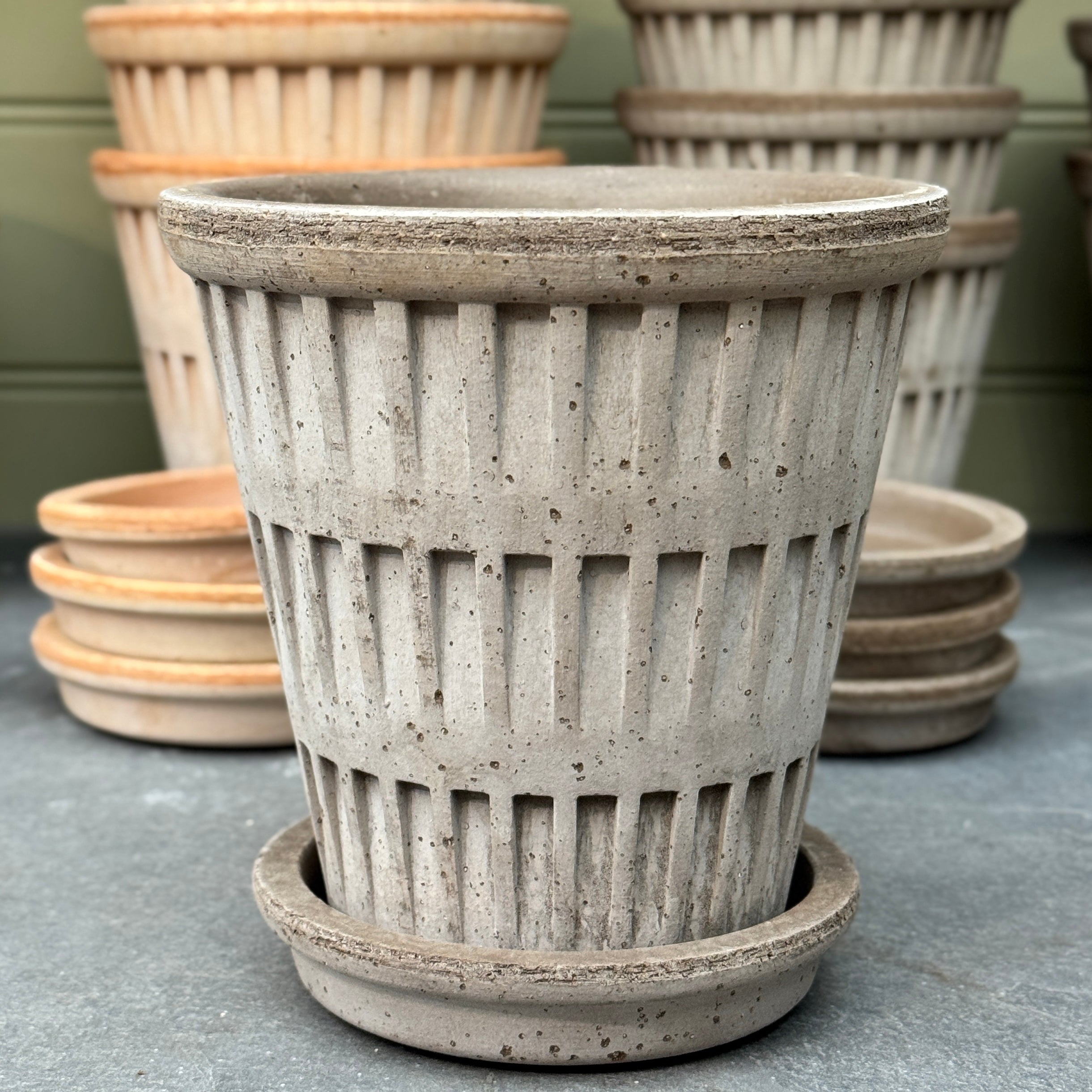 Bergs Potter Pantheon Pot & Saucer Set – Grey & Rosa