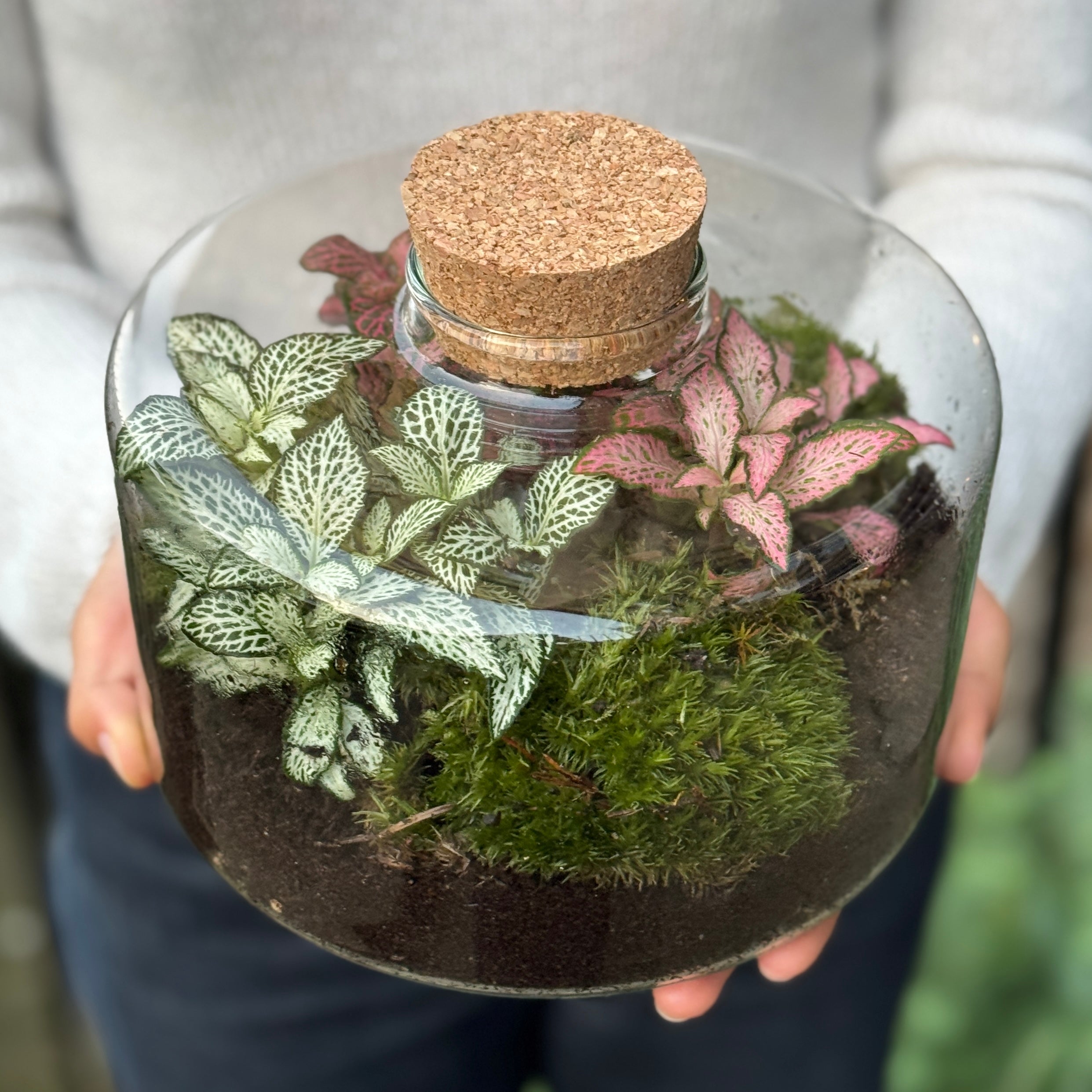 Aura Terrarium