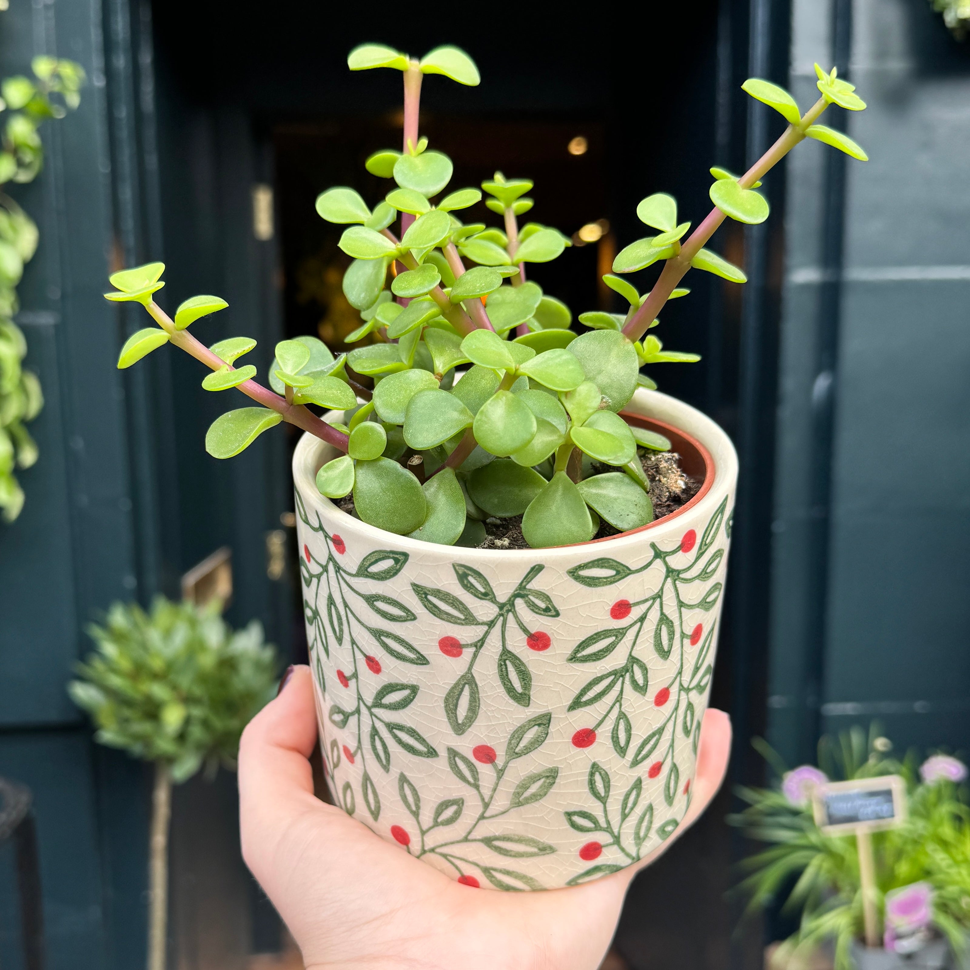 Woodland Berry Plant Pot | 12cm