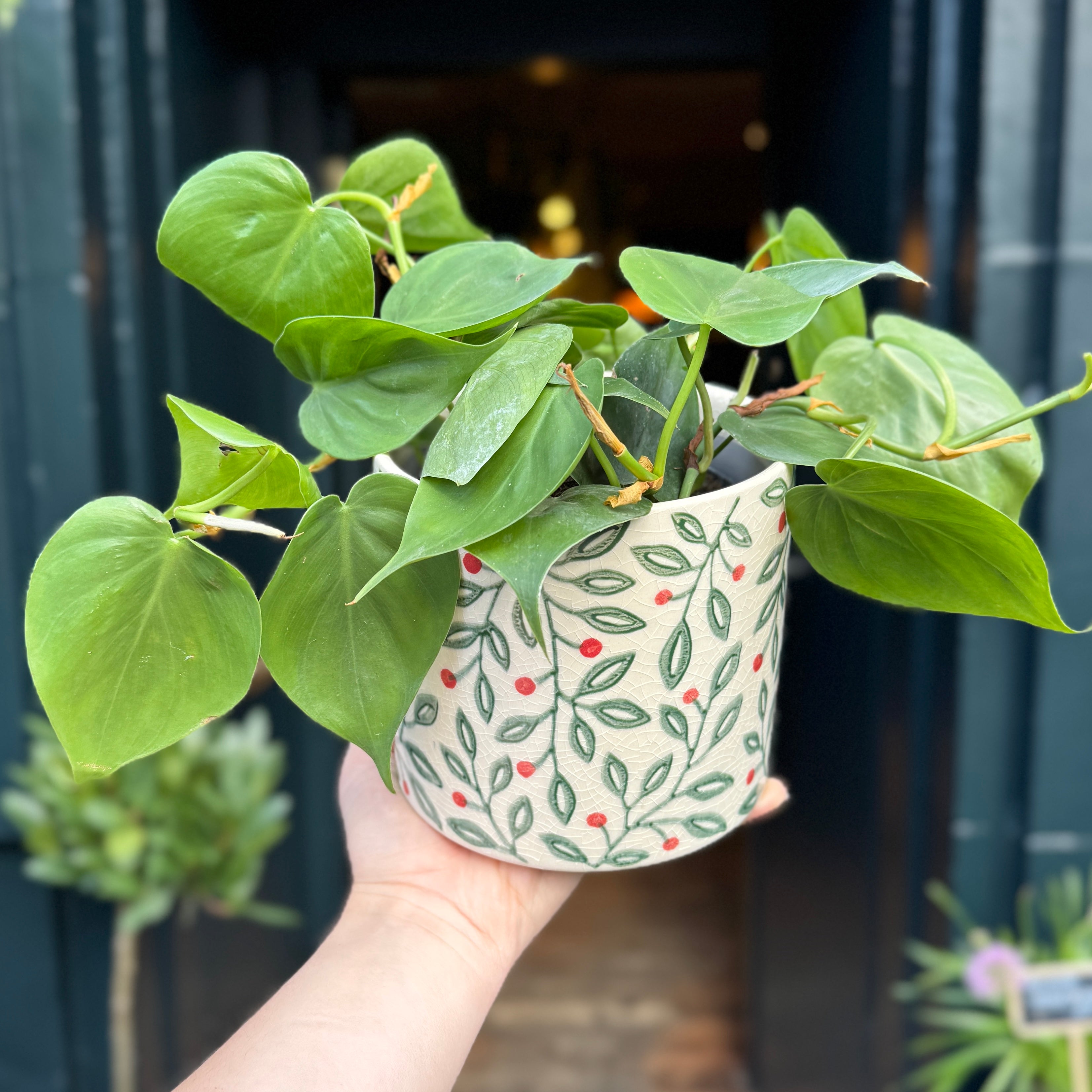 Woodland Berry Plant Pot | 14cm