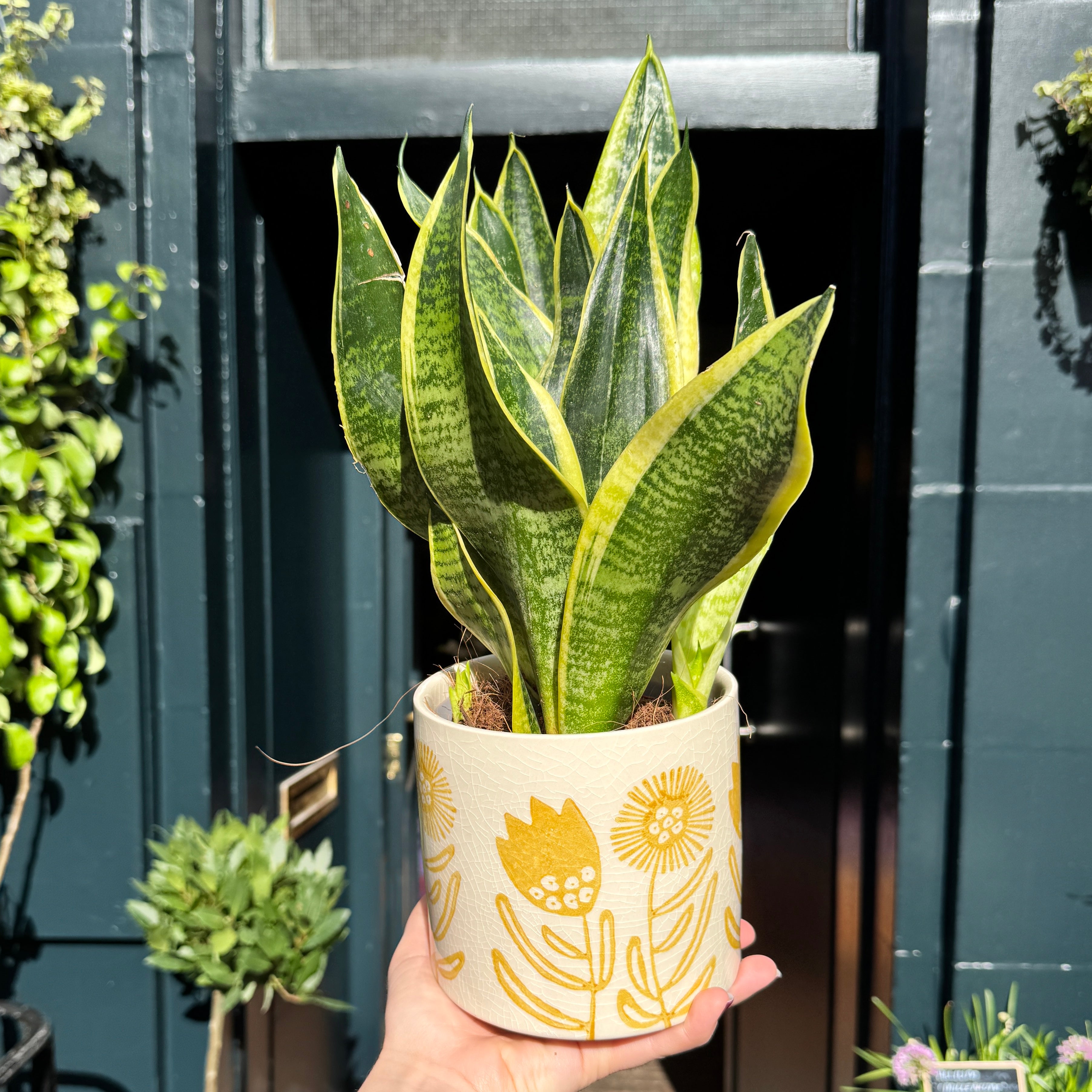 Yellow Floral Plant Pot | 14cm
