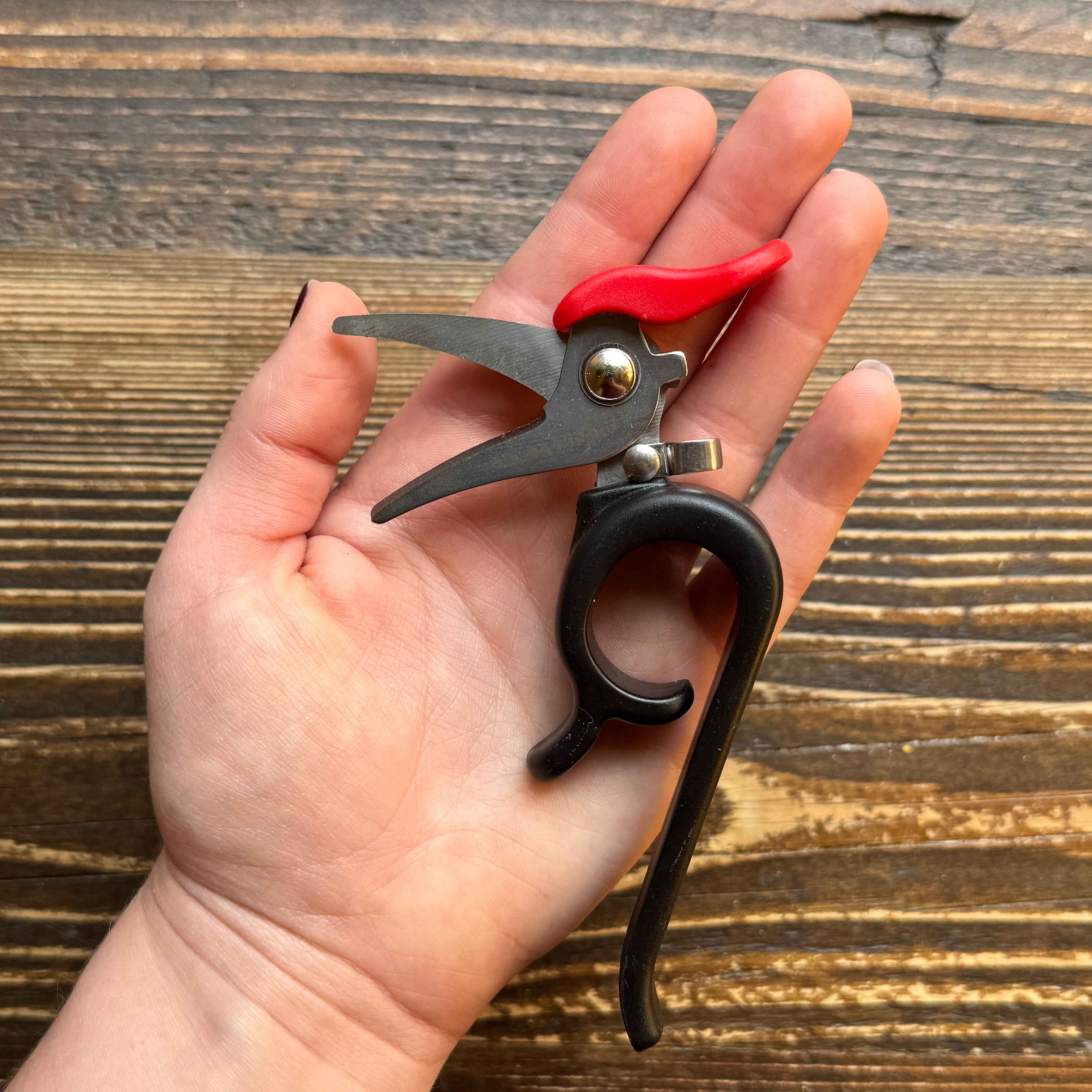 Woodpecker Garden Shears