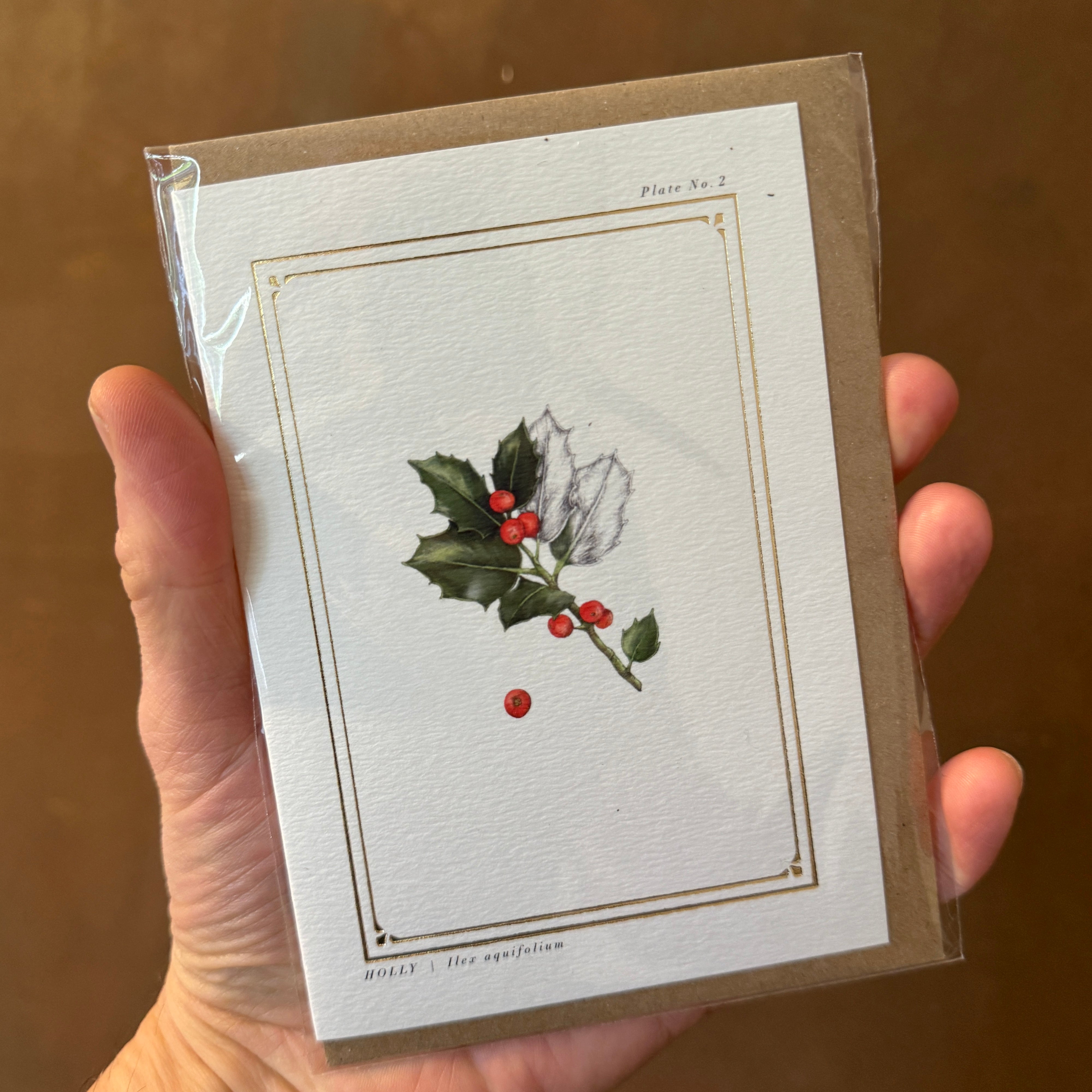 Christmas Cards | Catherine Lewis