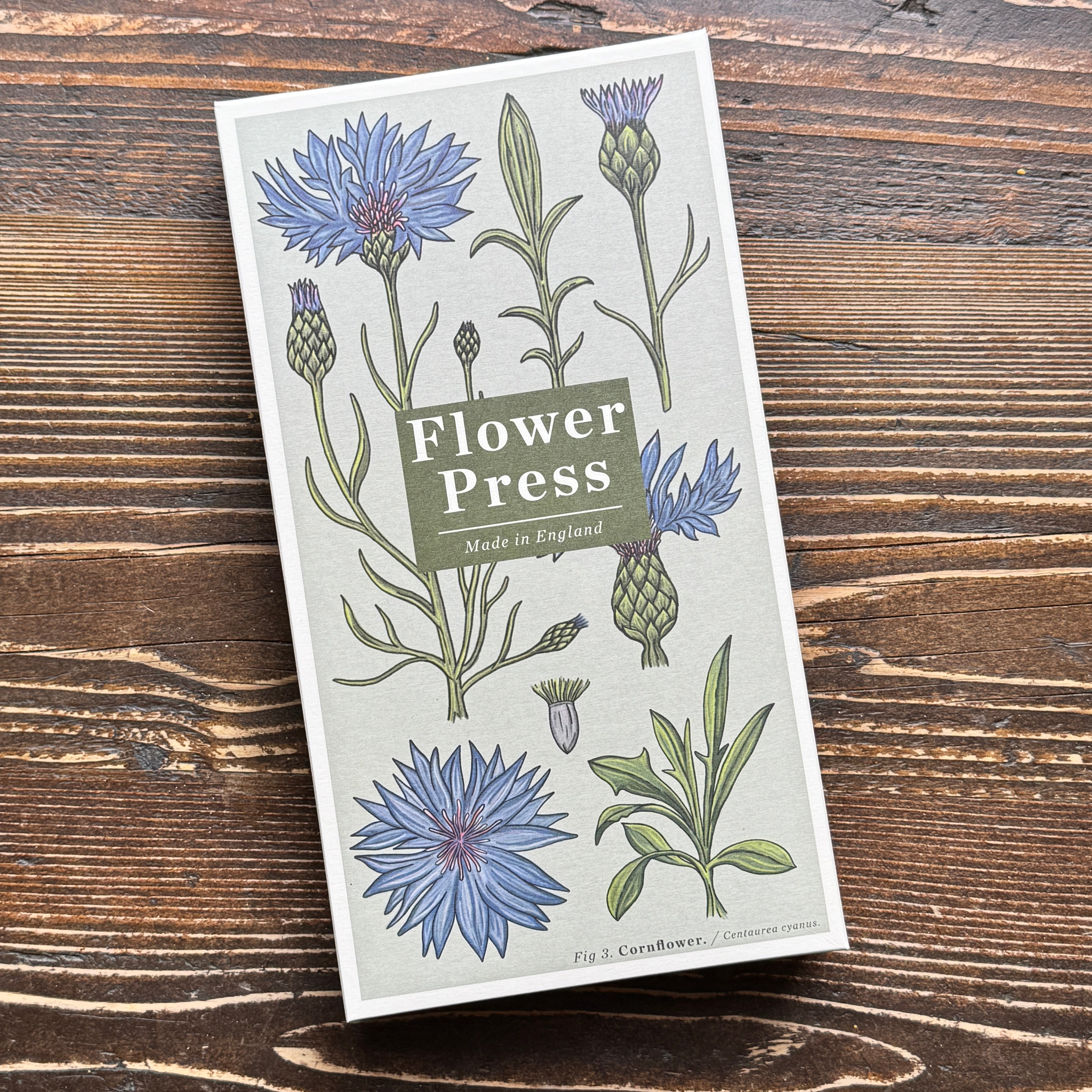 Large Flower Press – Vintage Cornflower | Studio Wald