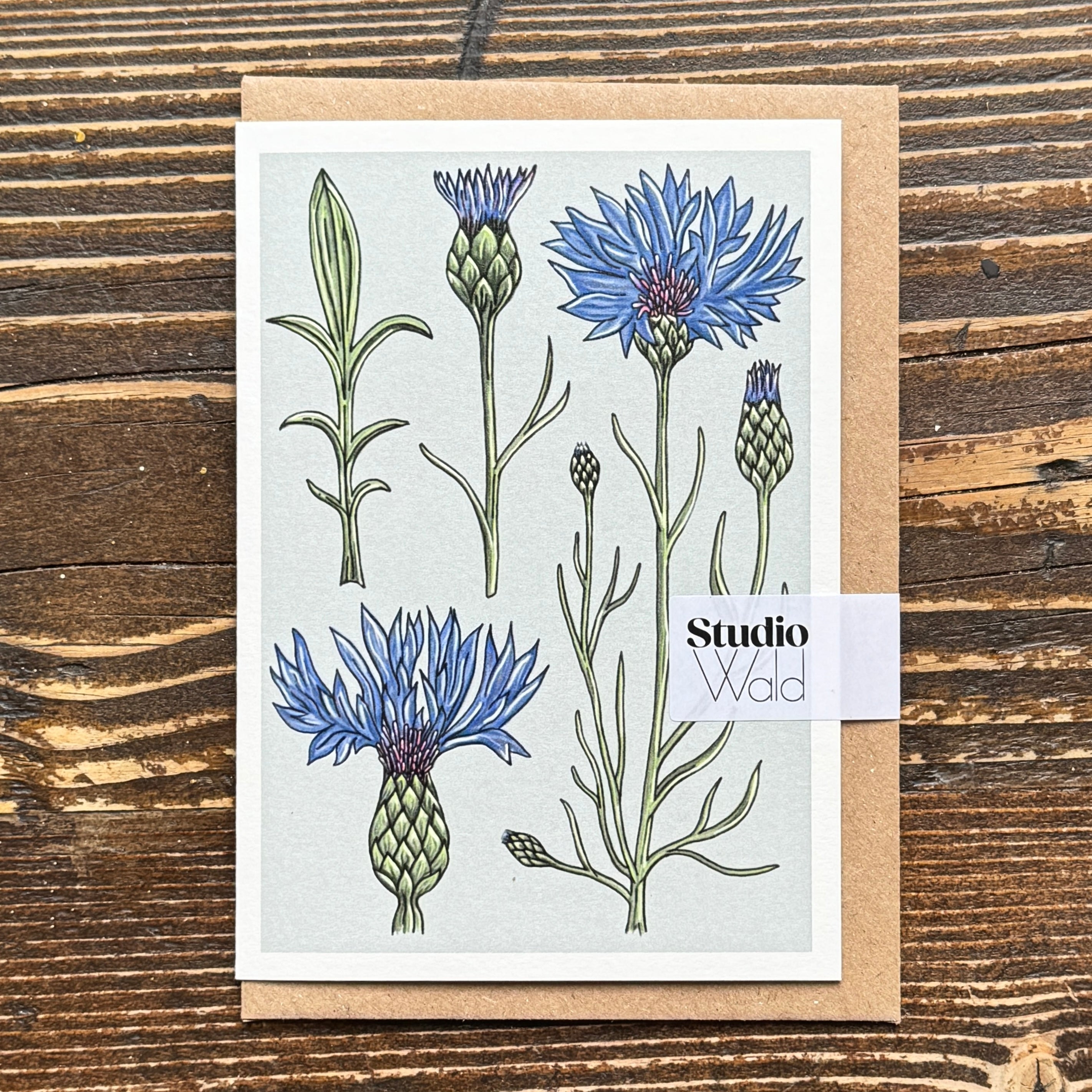Vintage Cornflower Greetings Card | Studio Wald