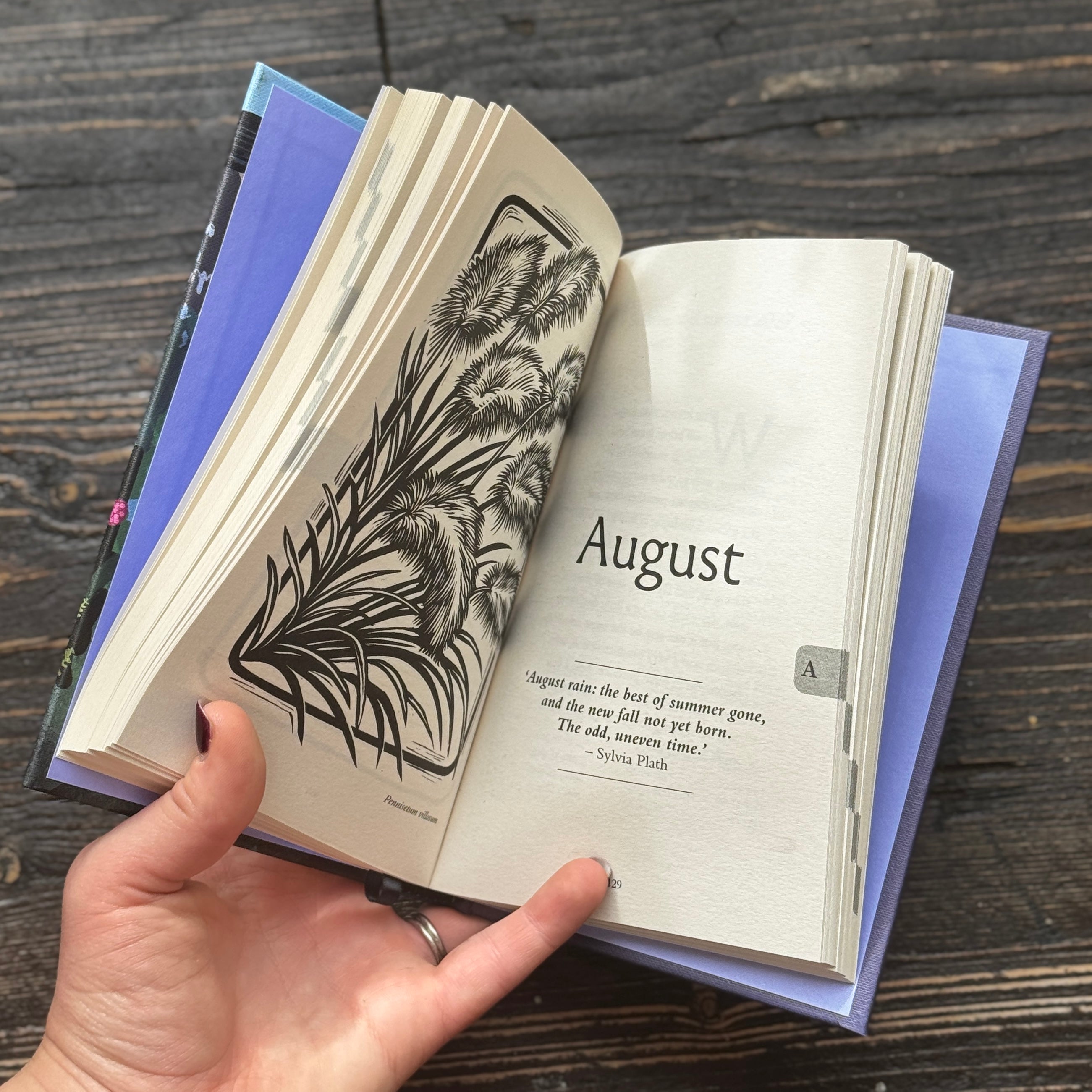 Gardener's Almanac 2027 | The National Trust