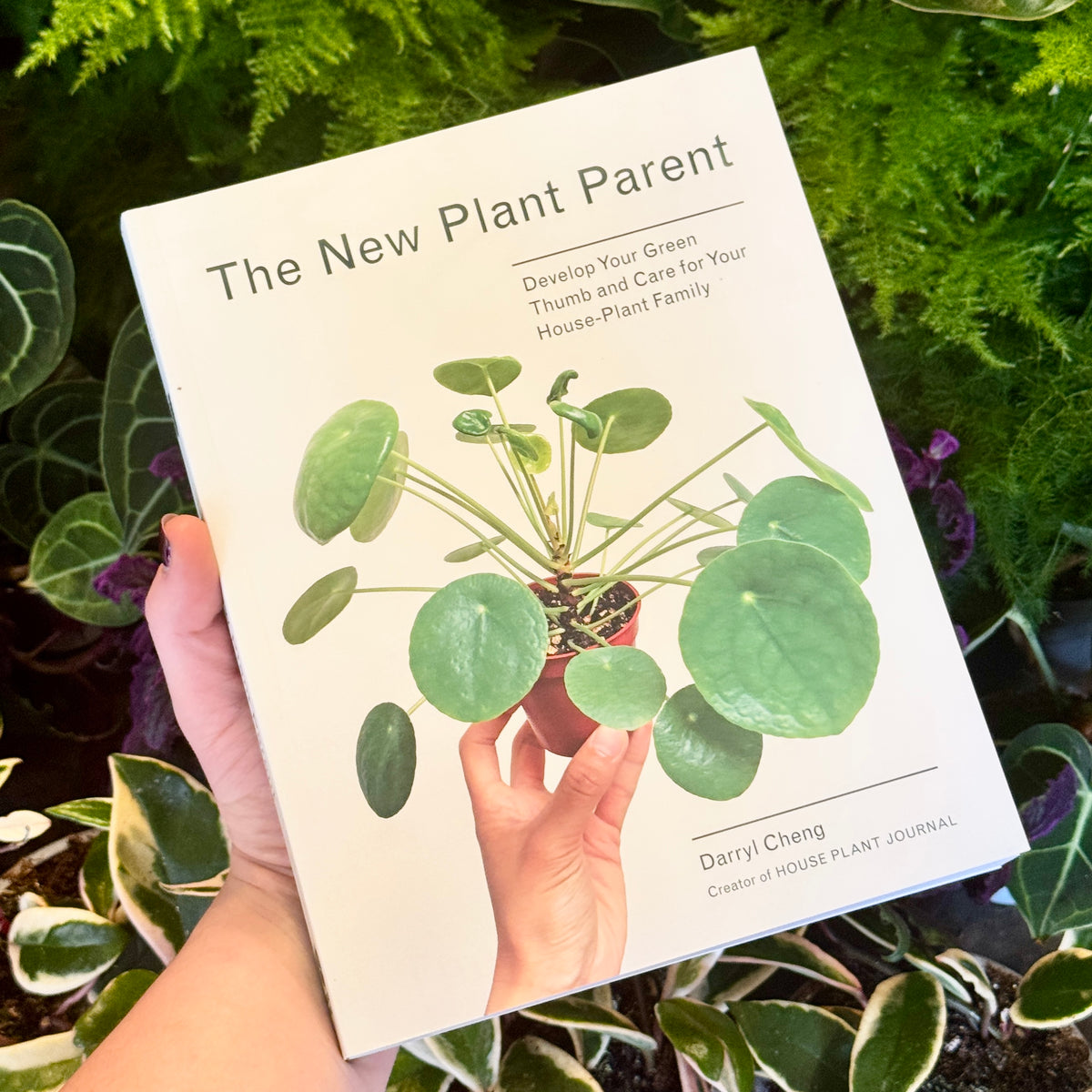 The New Plant Parent
