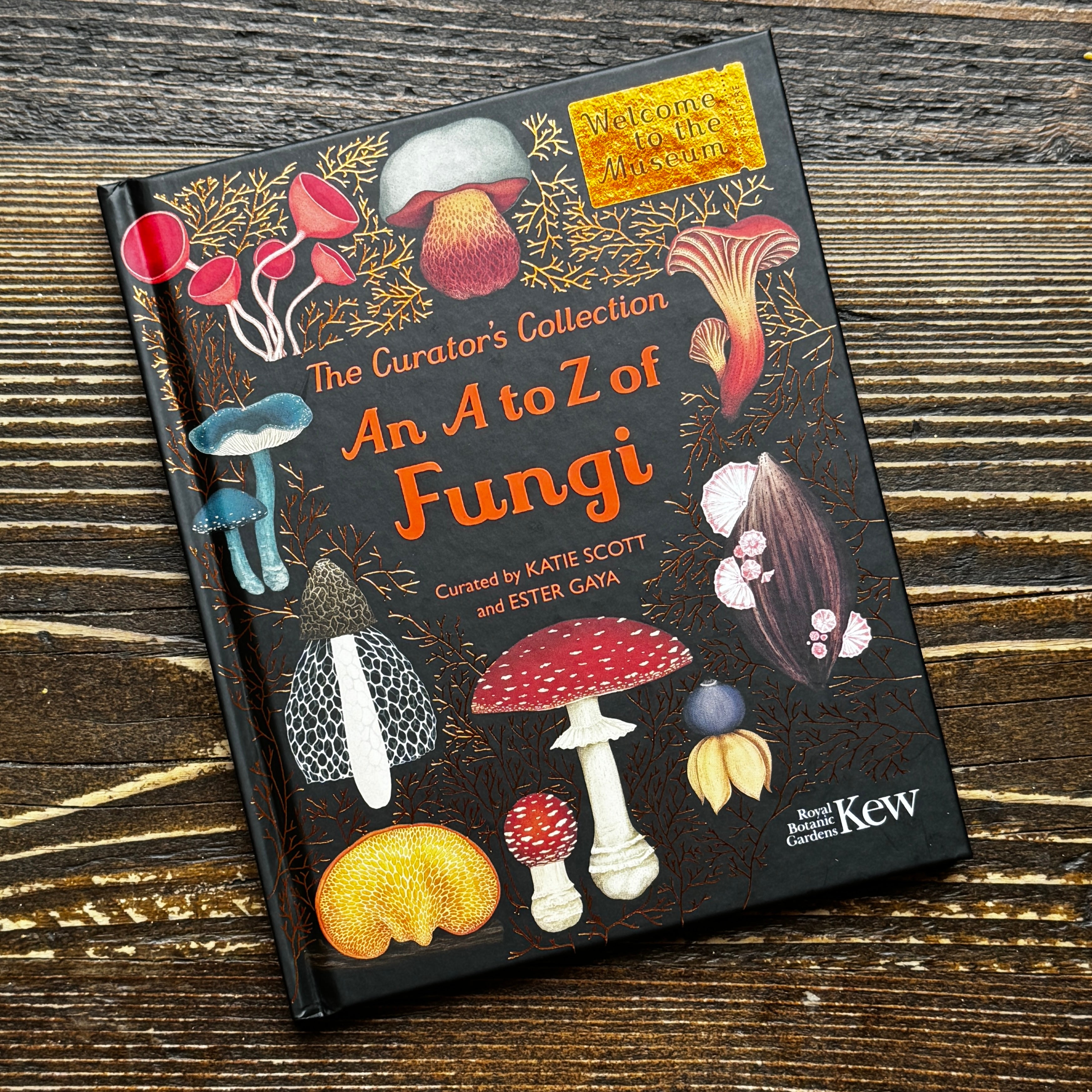 The Curator's Collection: An A to Z of Fungi
