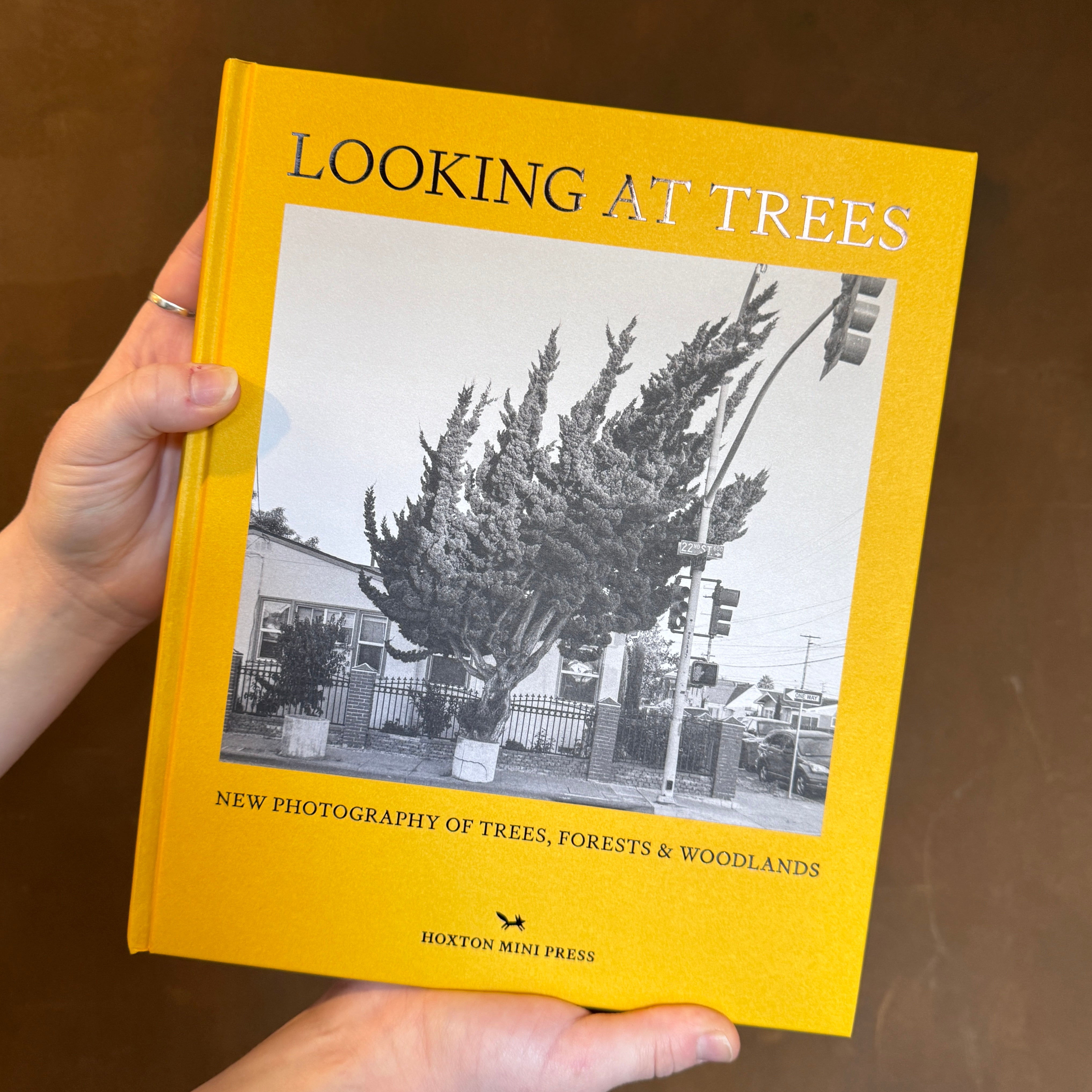 Looking at Trees: New photography of trees, forests and woodlands