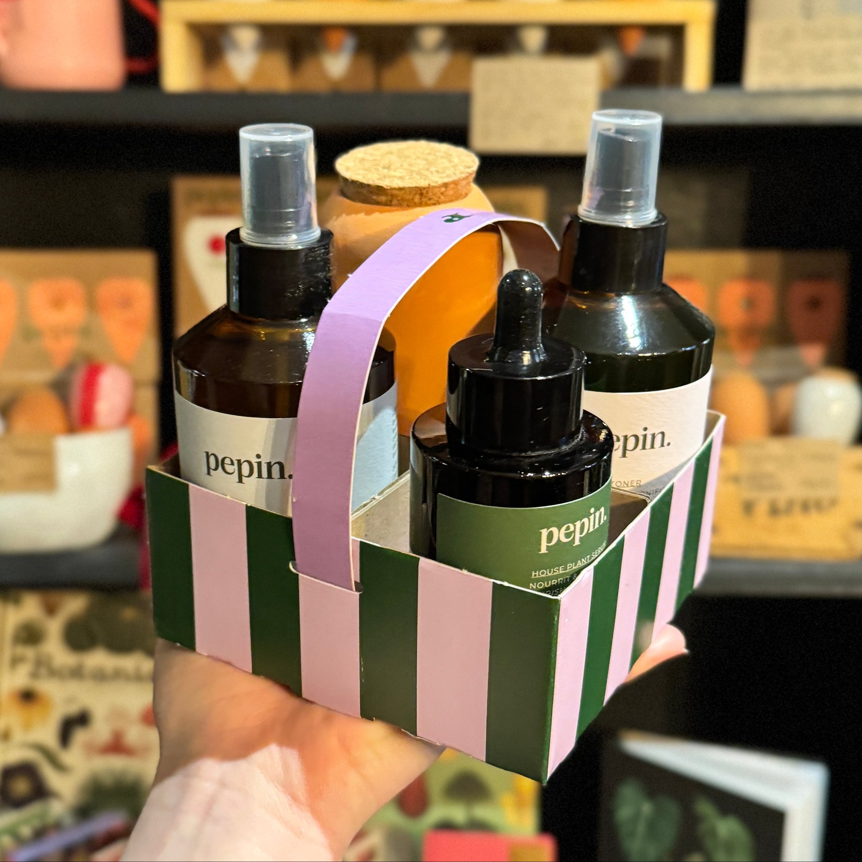 Pepin Plant Care Routine – Complete Indoor Plant Care Kit