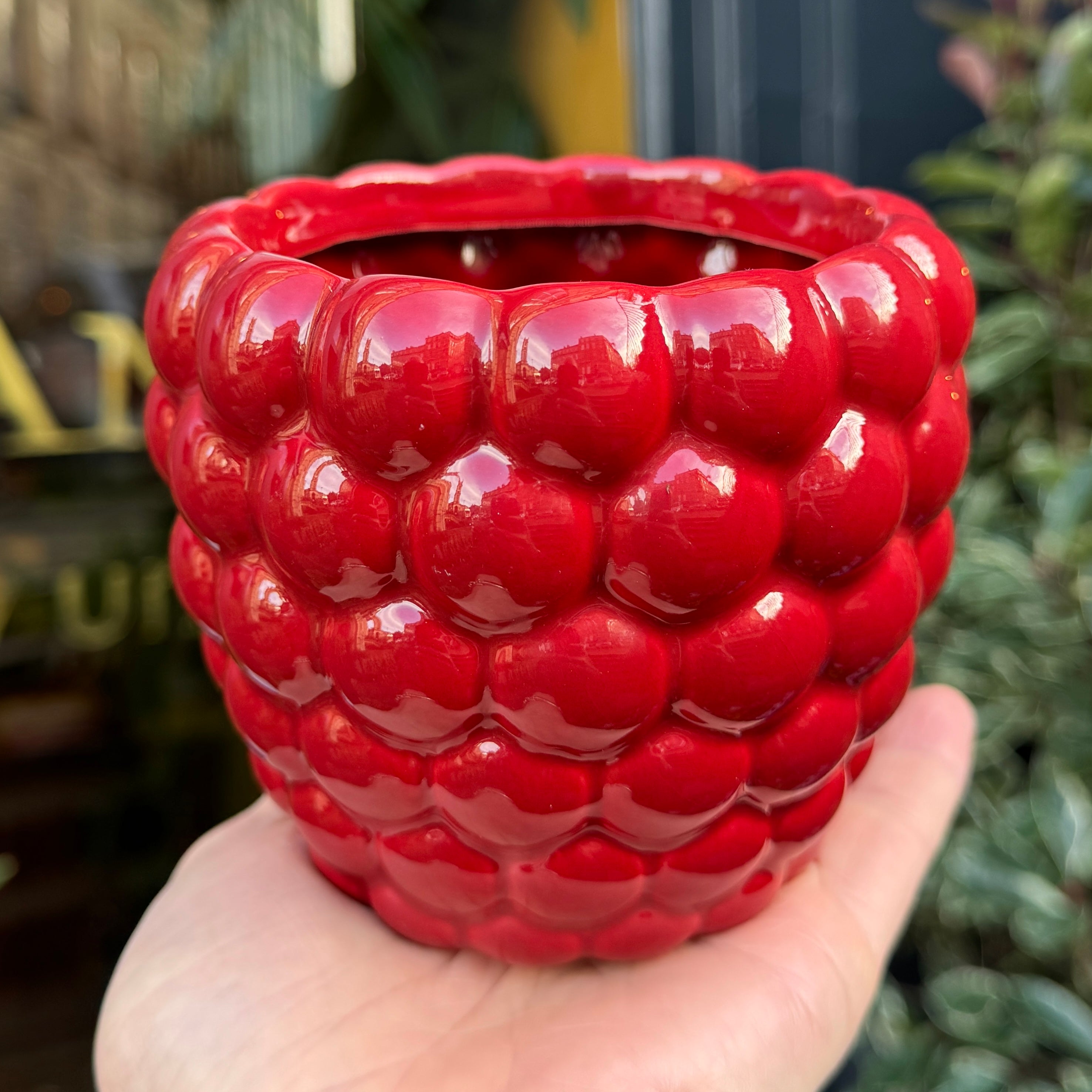 Berry Pot - Rouge | 12cm