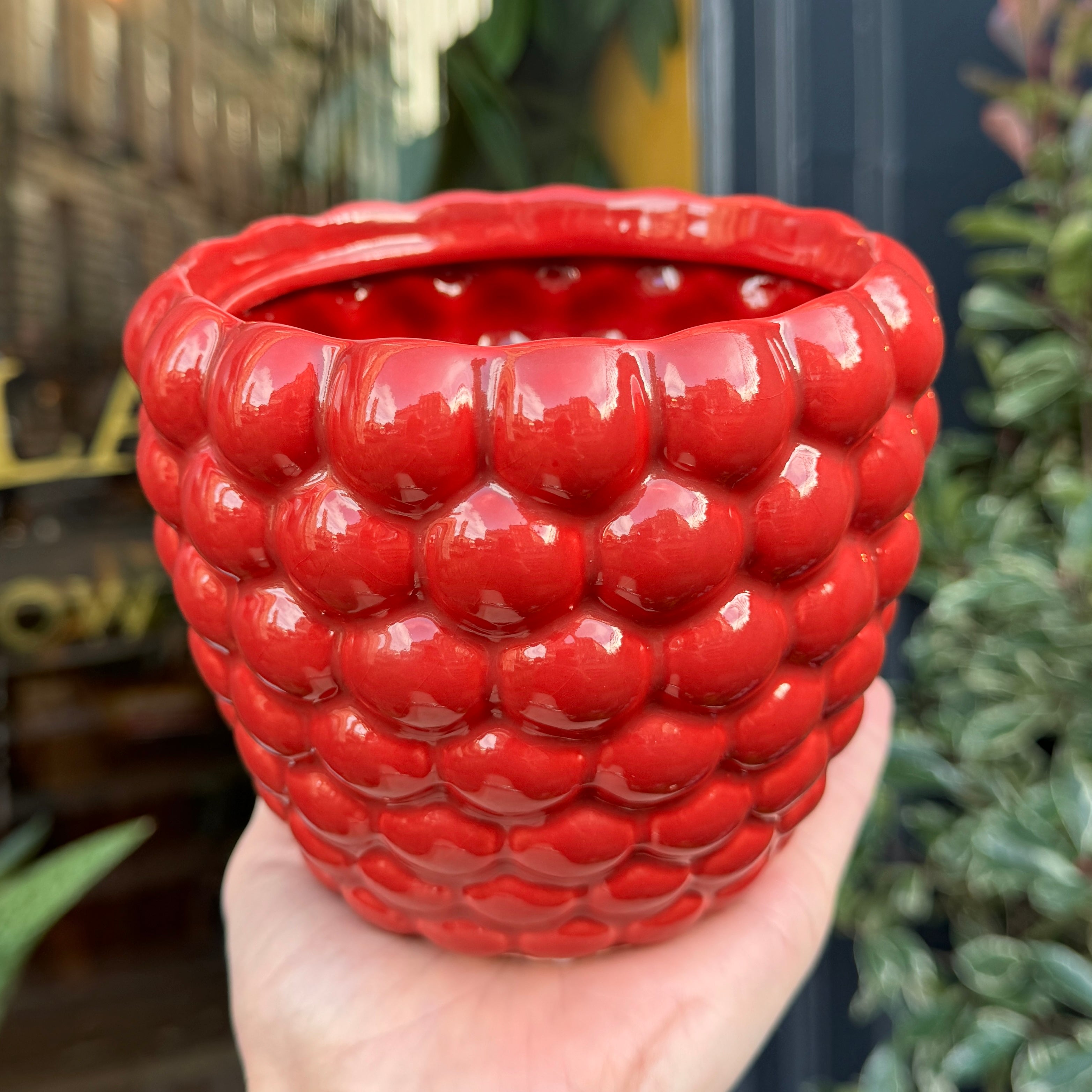 Berry Pot - Rouge | 14cm