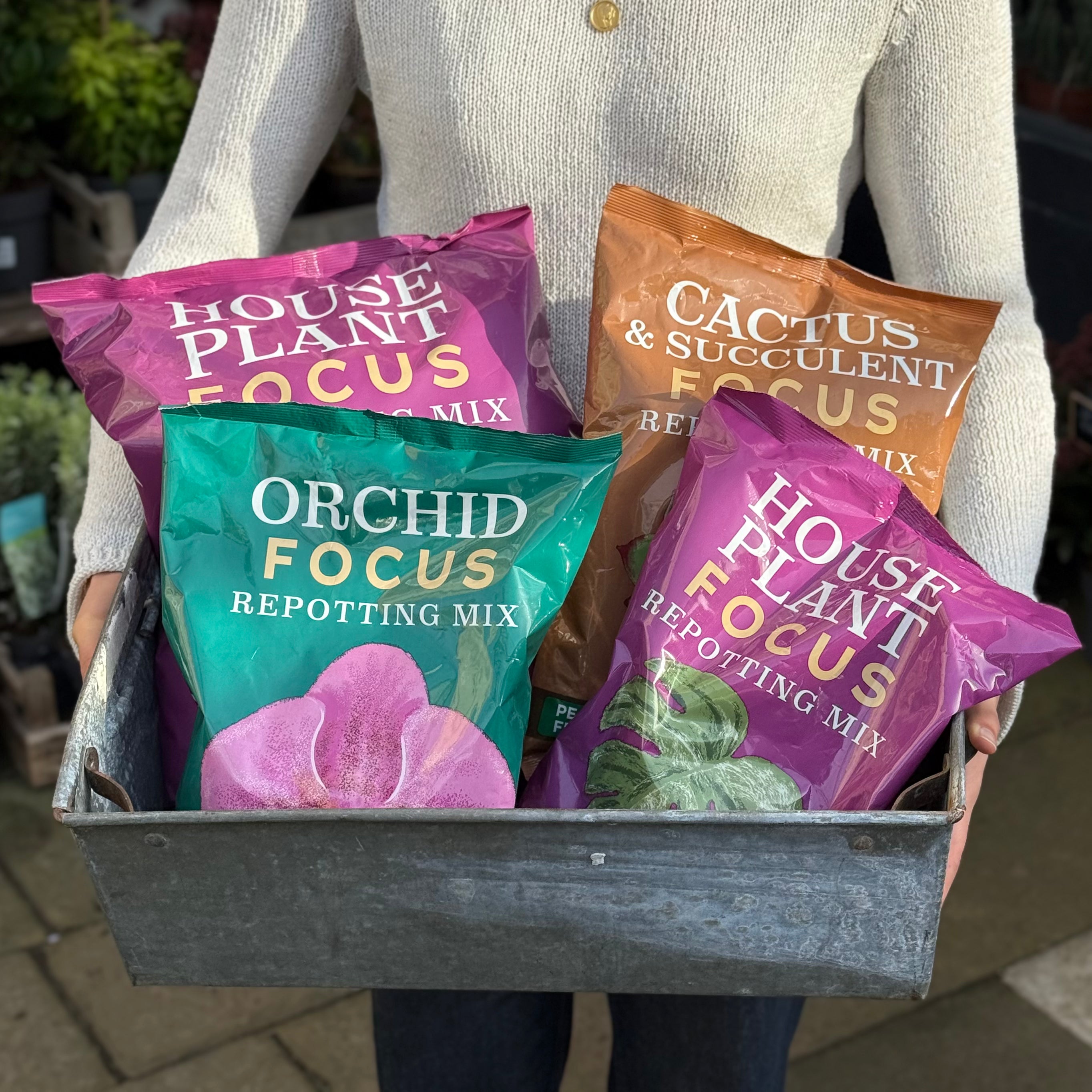 Compost for Indoor Plants