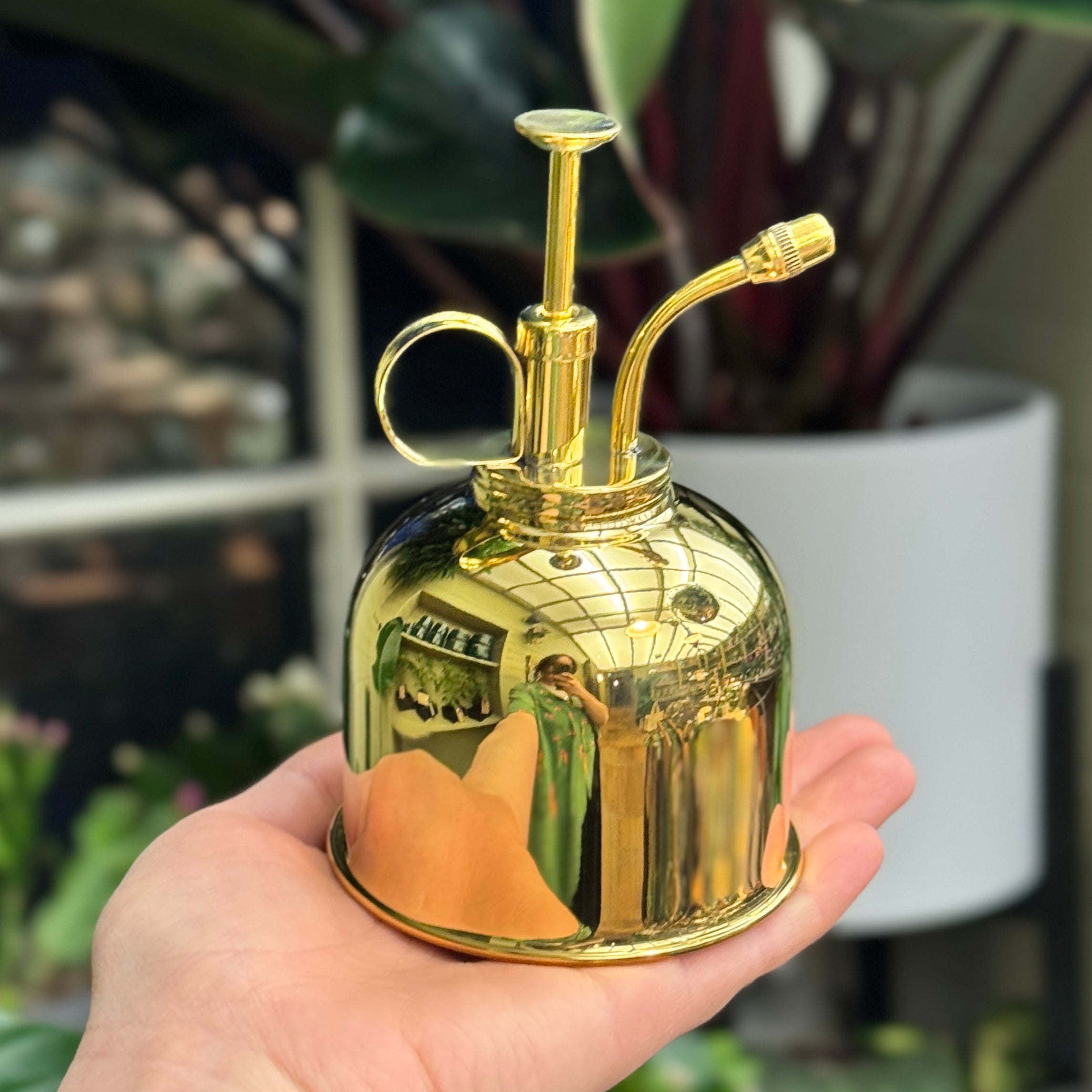 Brass Plant Mister | Vintage-Style Fine Sprayer