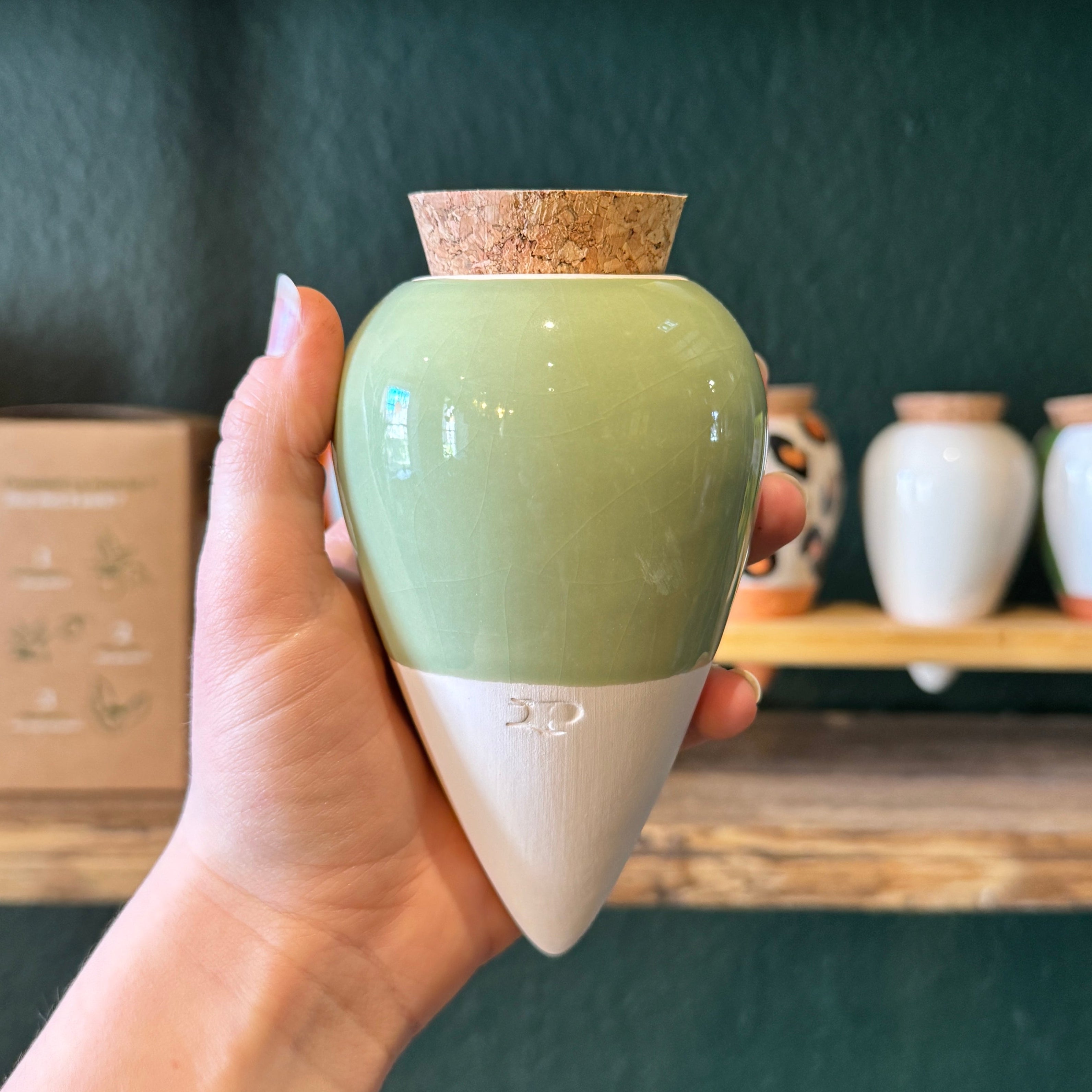 Pepin Ollas | Natural Plant Watering System