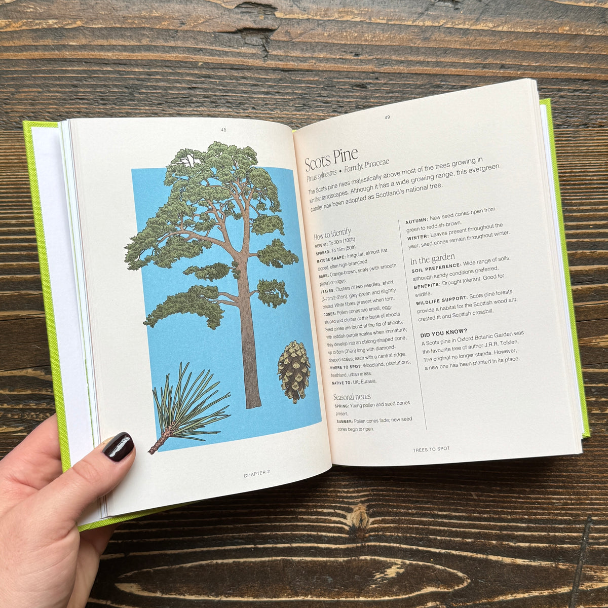 Trees: A Pocket Guide (RHS)