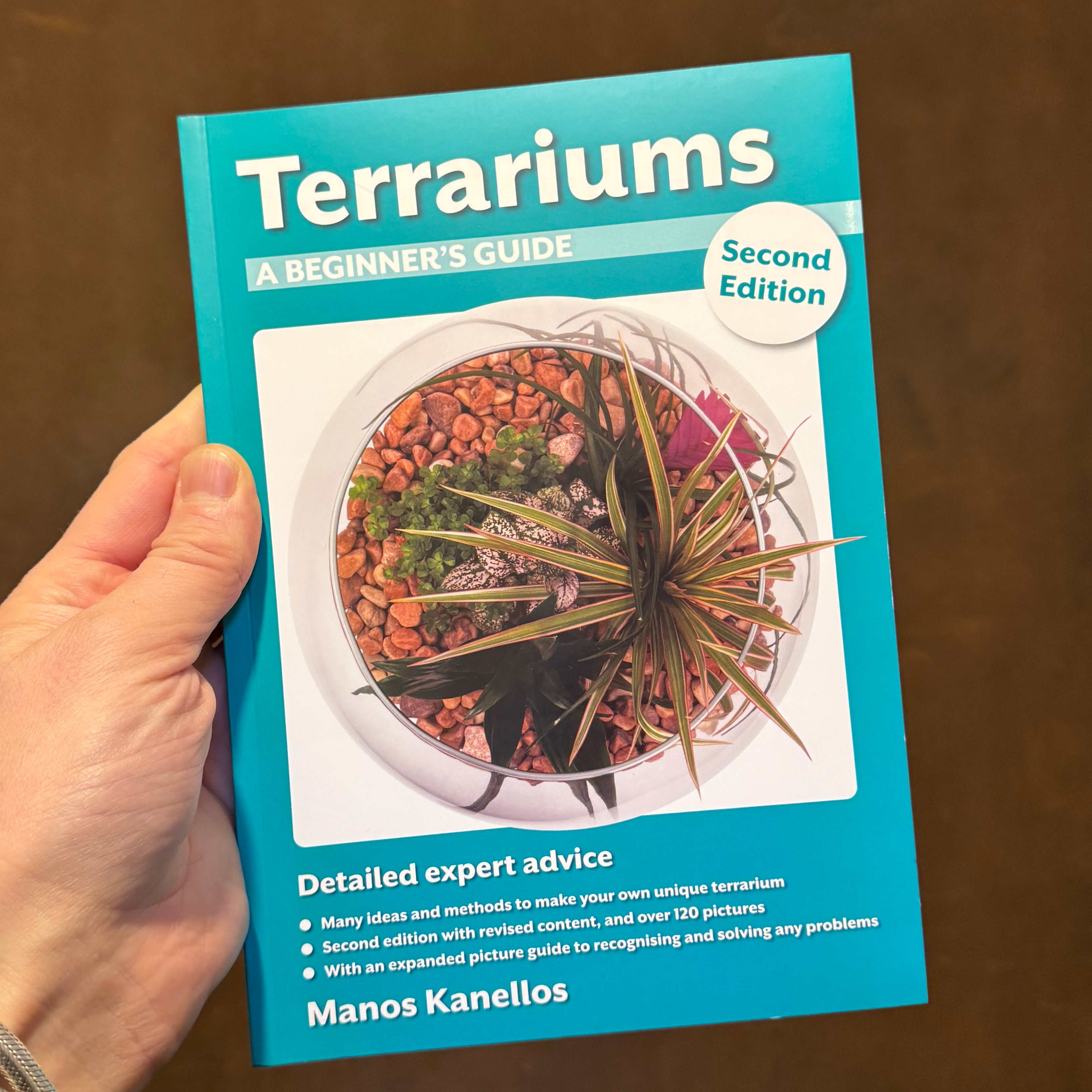 Terrariums: A Beginner's Guide