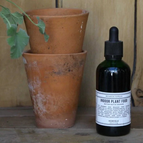 Natural Seaweed Indoor Plant Food 100ml – Norfolk Natural Living