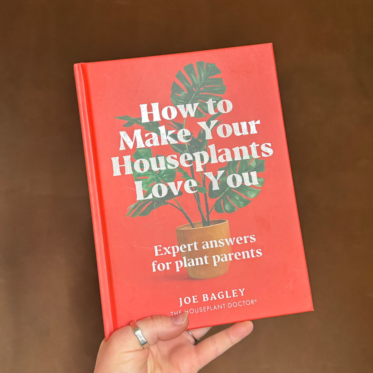 How To Make Your Houseplants Love You