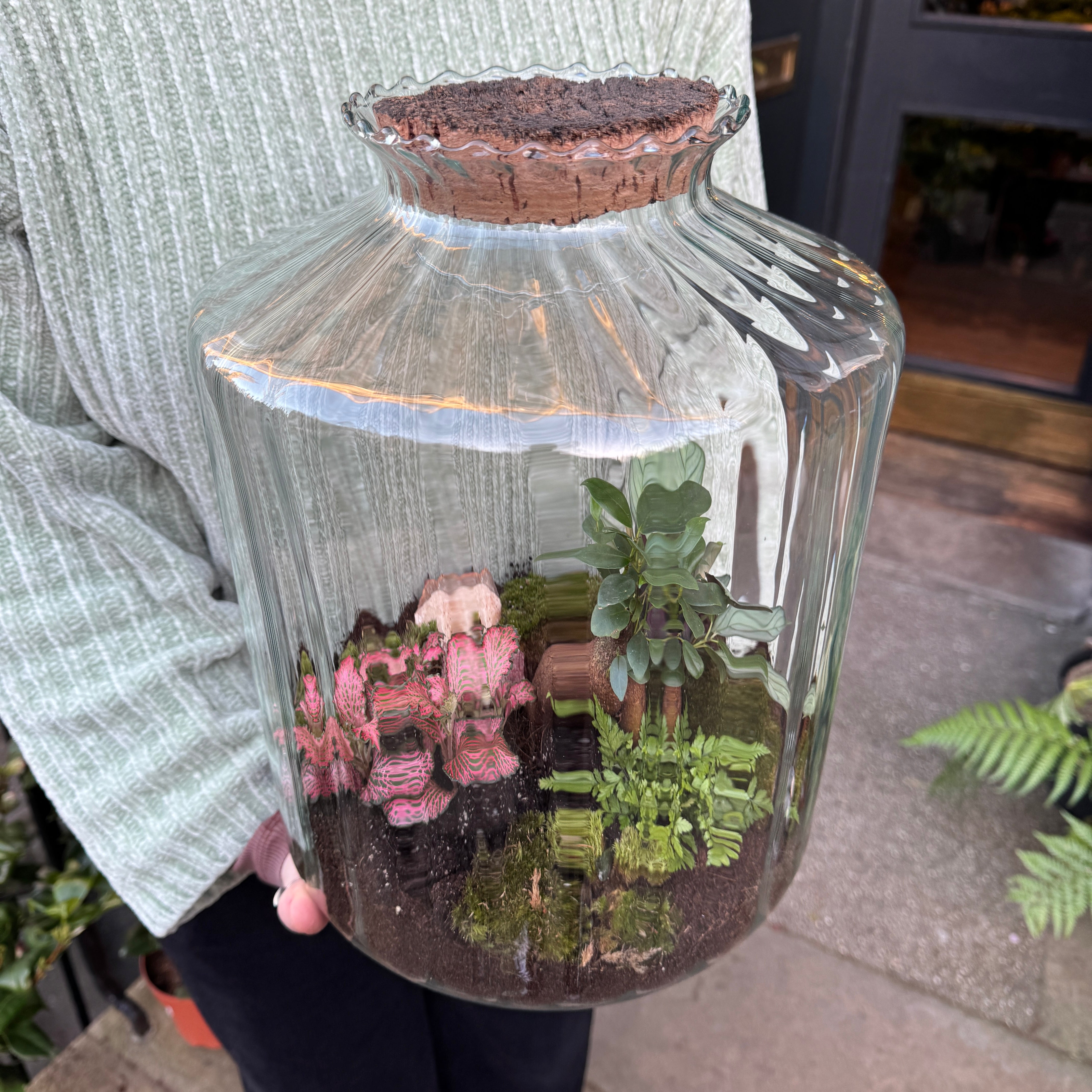 Stripe Jar Terrarium