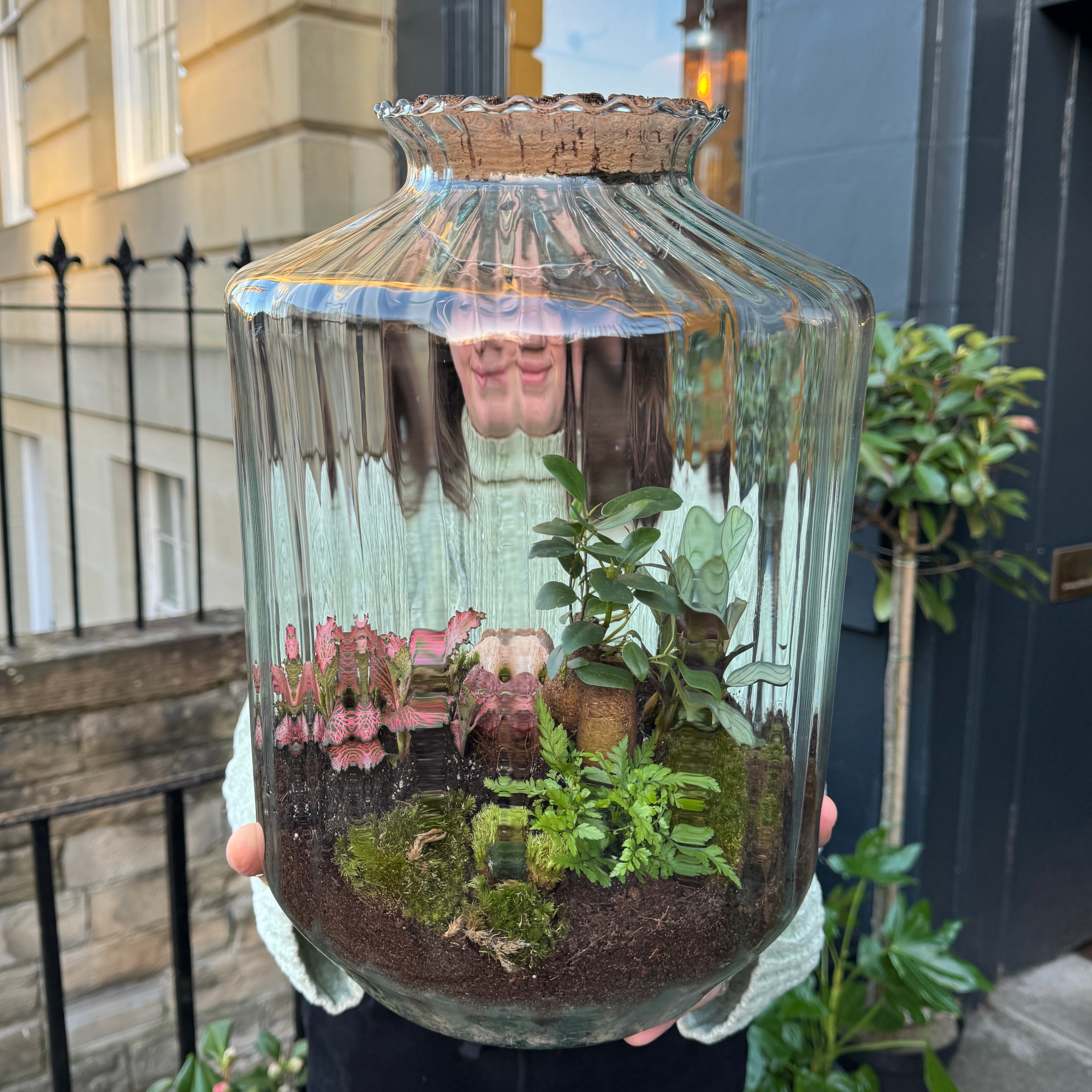 Stripe Jar Terrarium